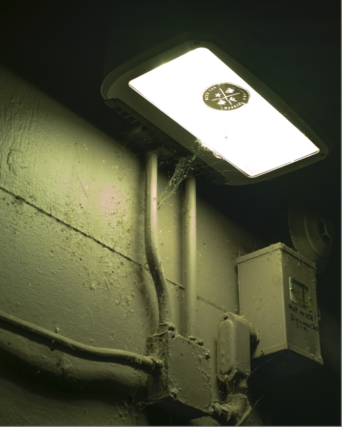 Sony α7S II, Minolta 50mm 1.4 