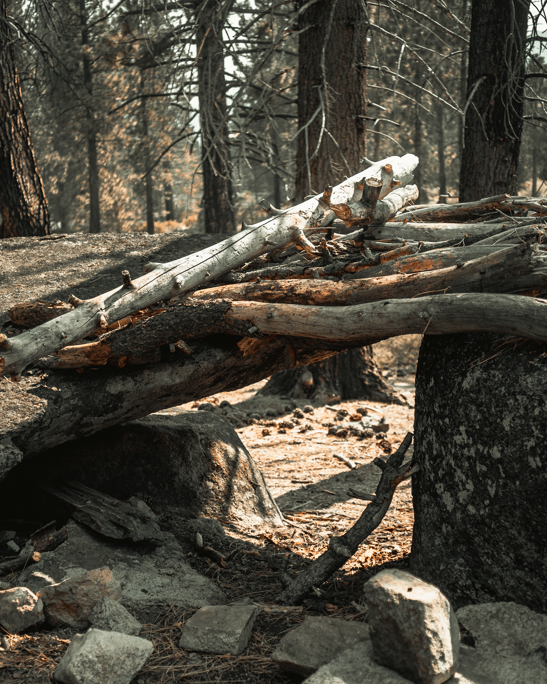 Sony α7S II, Minolta 35mm 2.8 