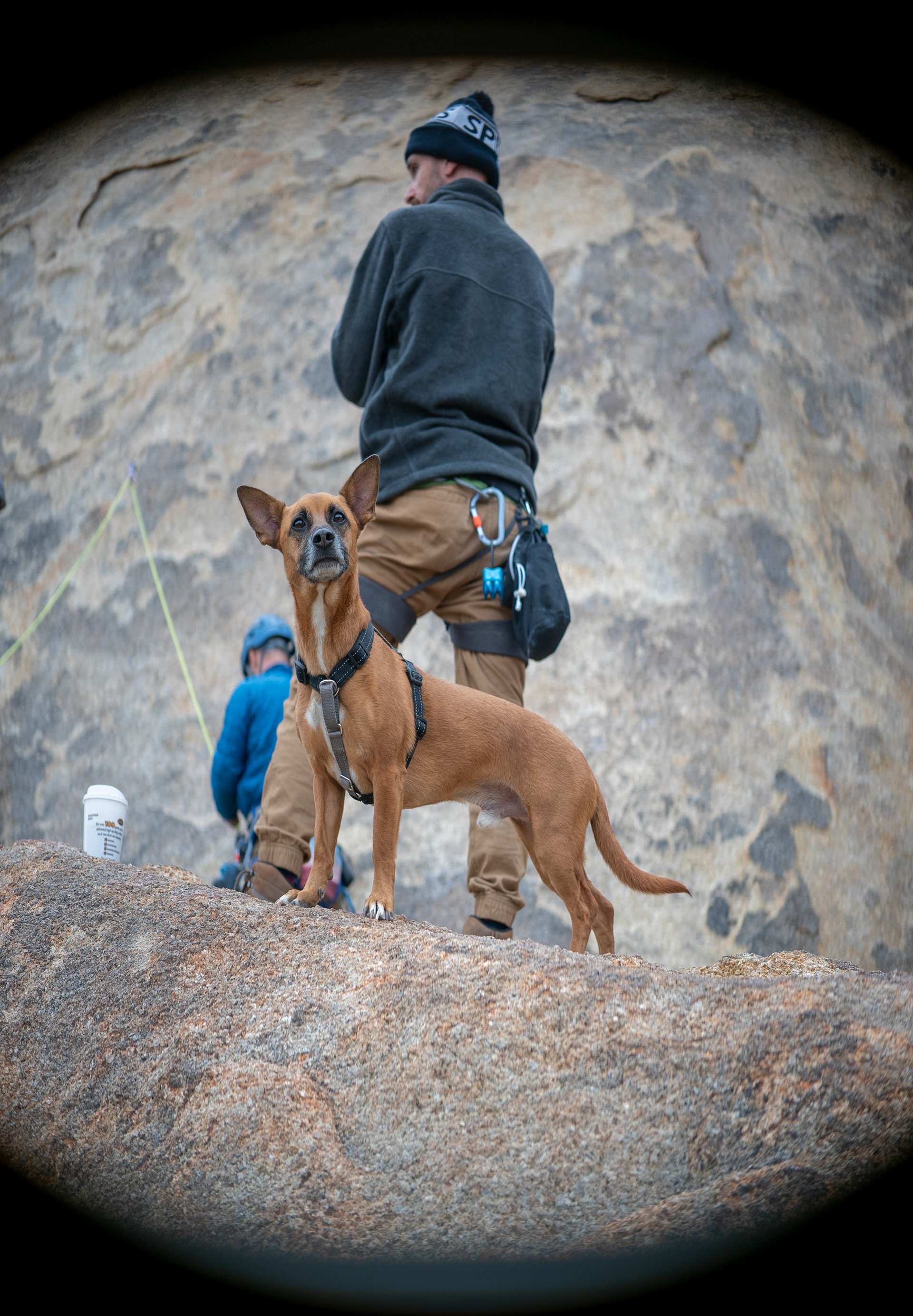 Sony α7S II, Modded Sirui 50mm 1.33x