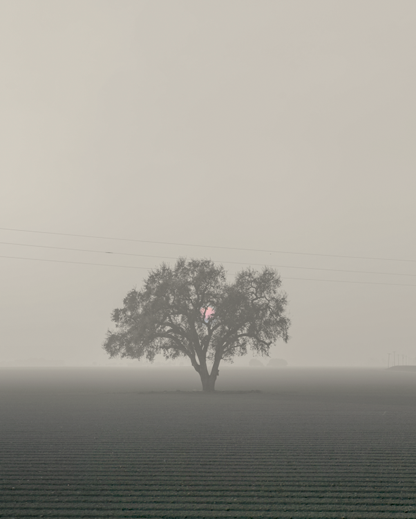 Sony α7S II, Minolta 50mm 1.4 