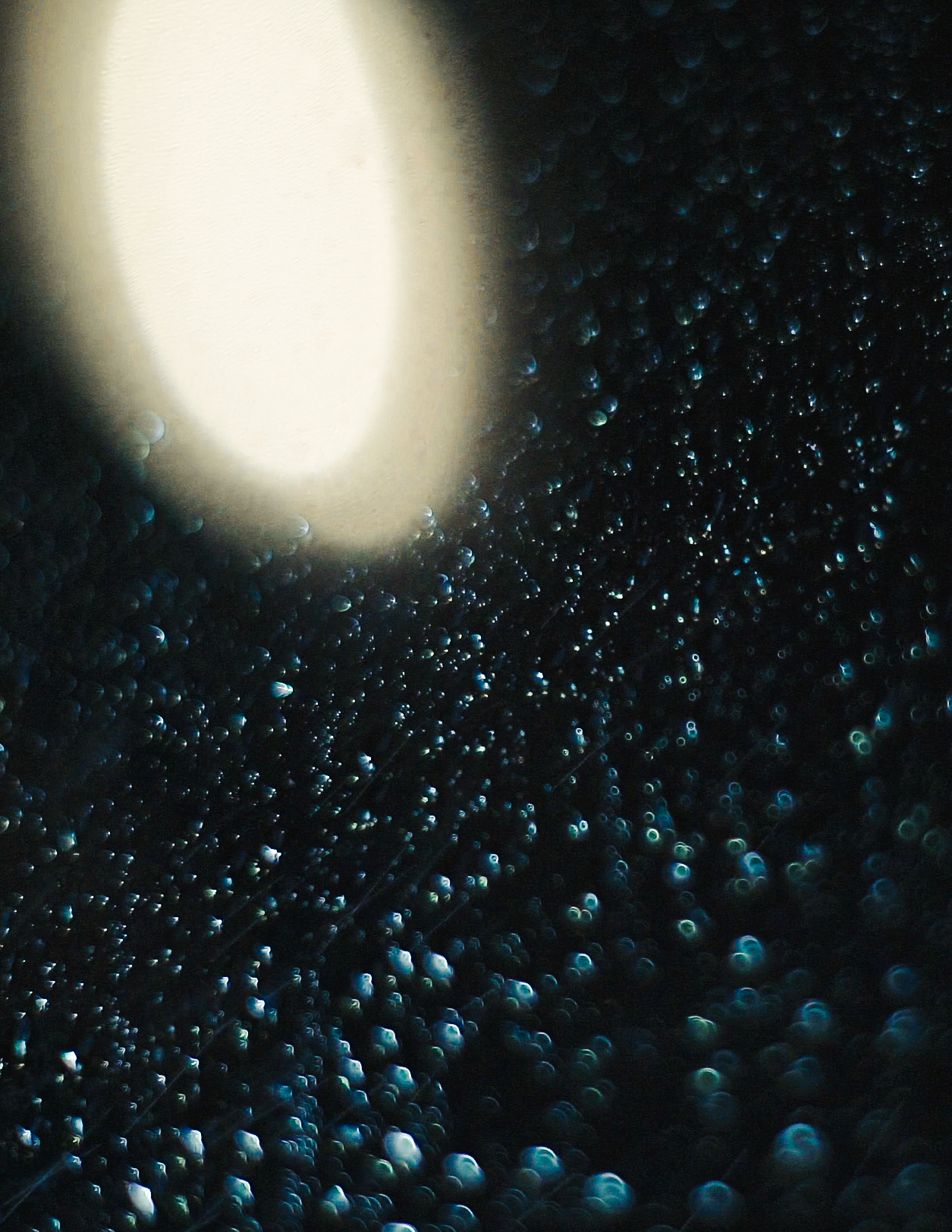 Sony α7S II, Minolta 50mm 1.4 