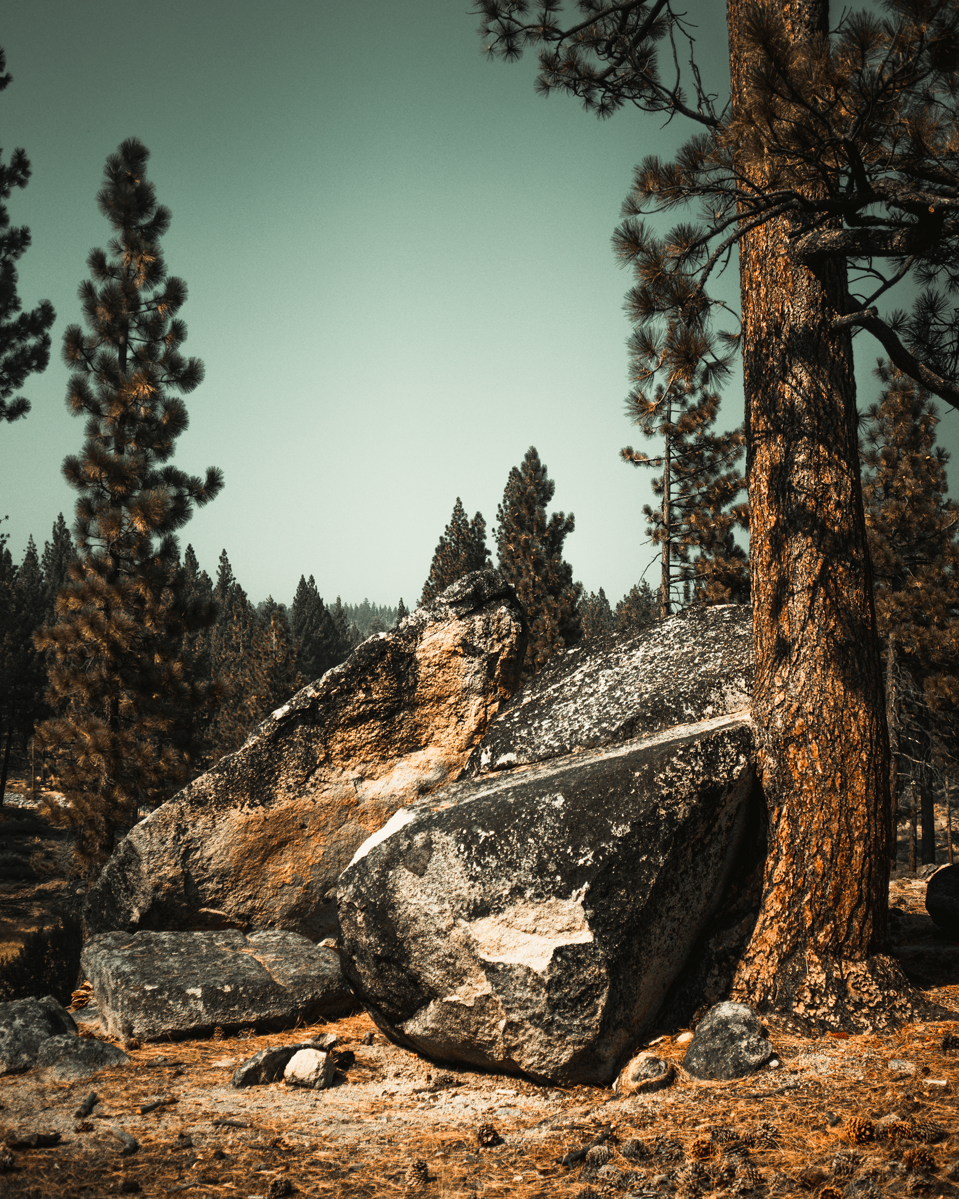 Sony α7S II, Minolta 35mm 2.8 