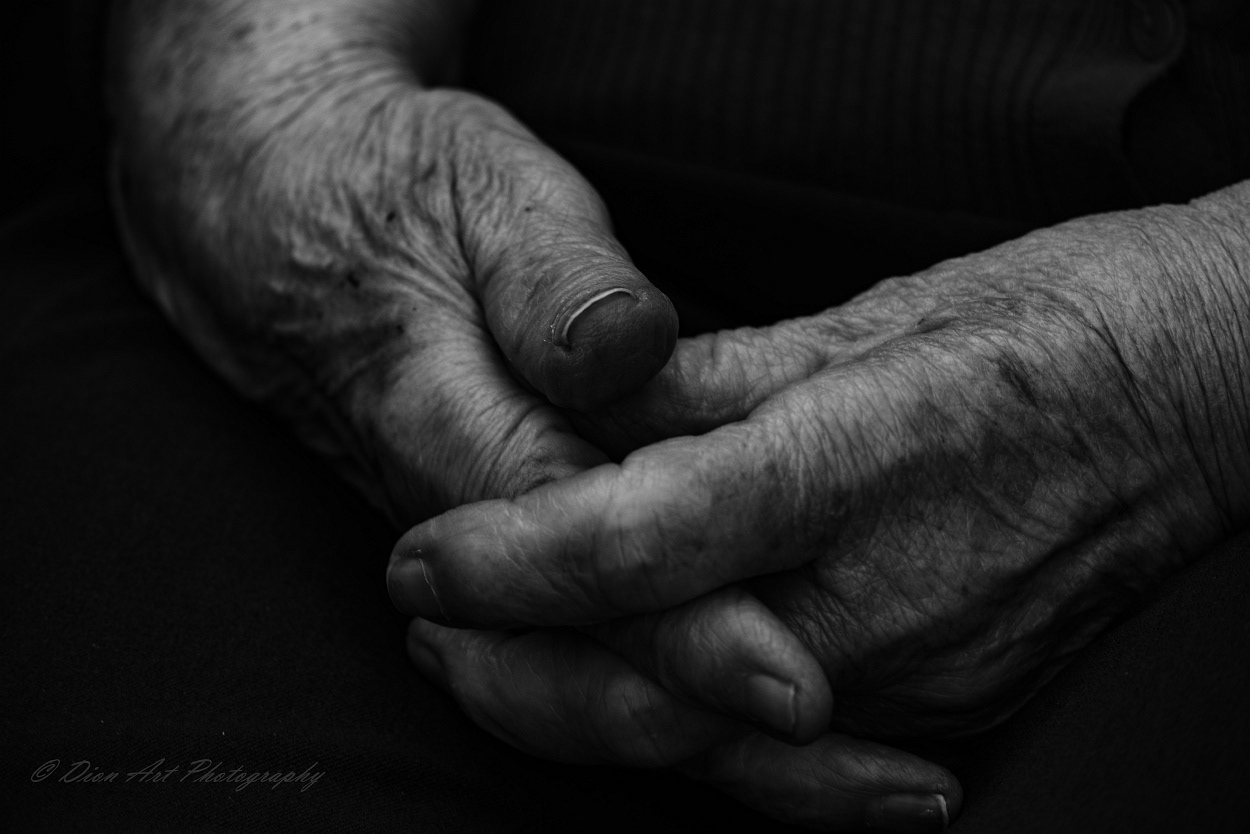 Generations of life