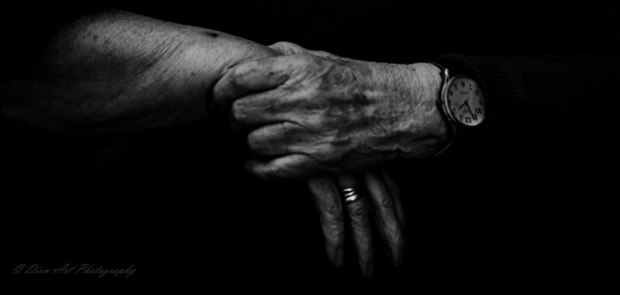 Generations of life