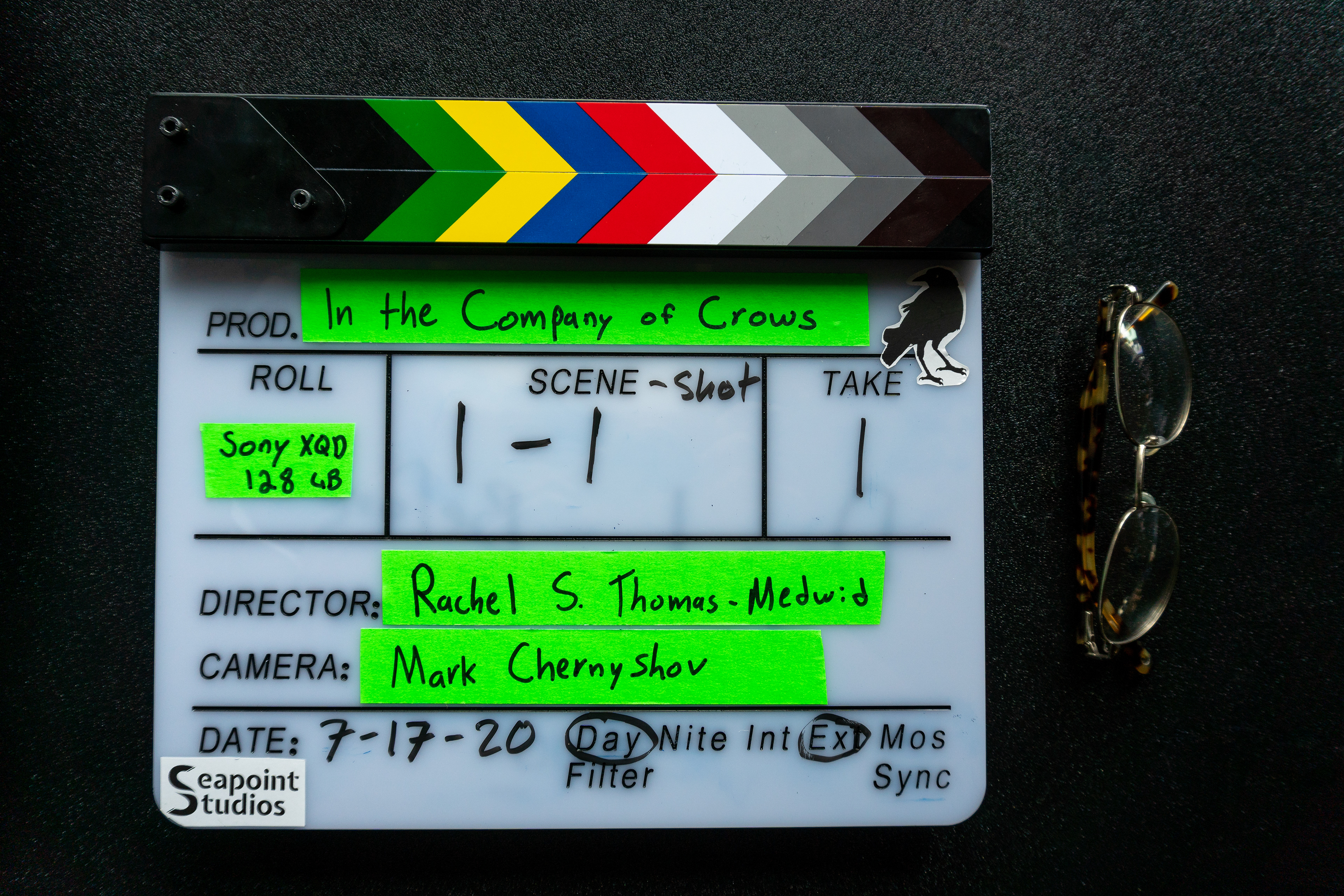 In The Company of Crows