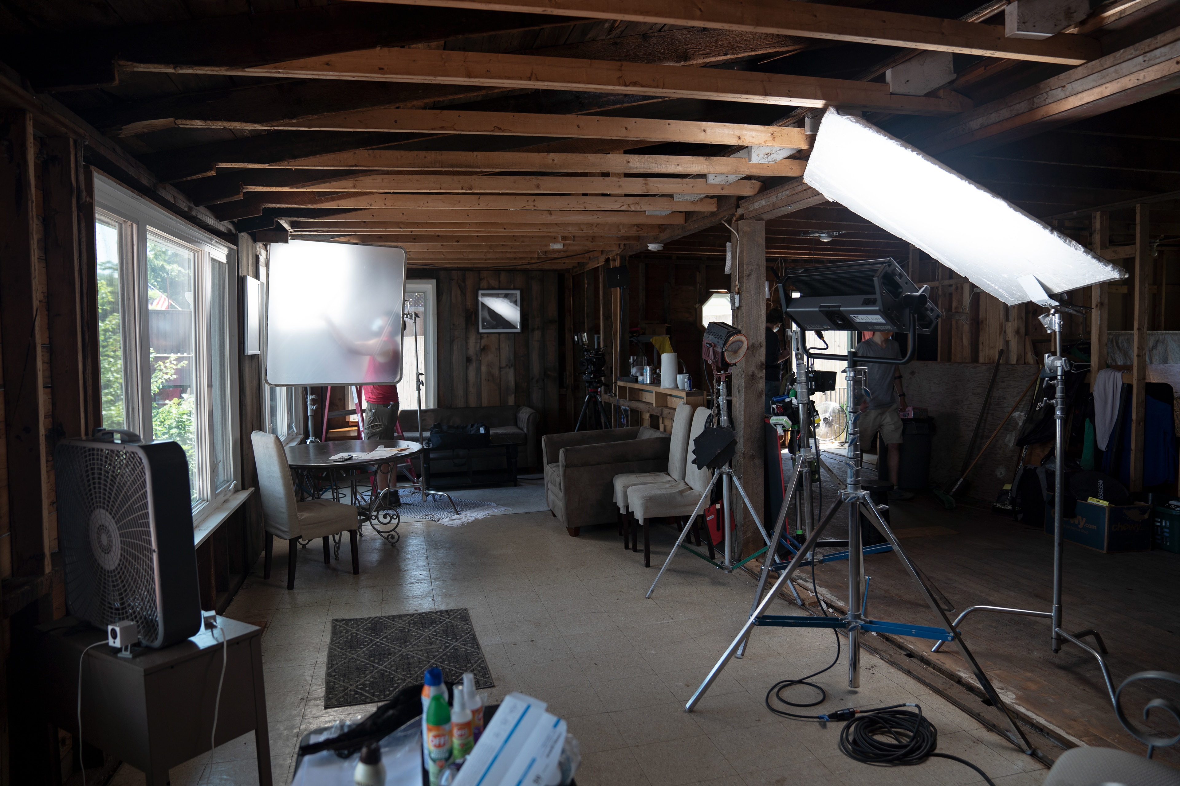 In The Company of Crows