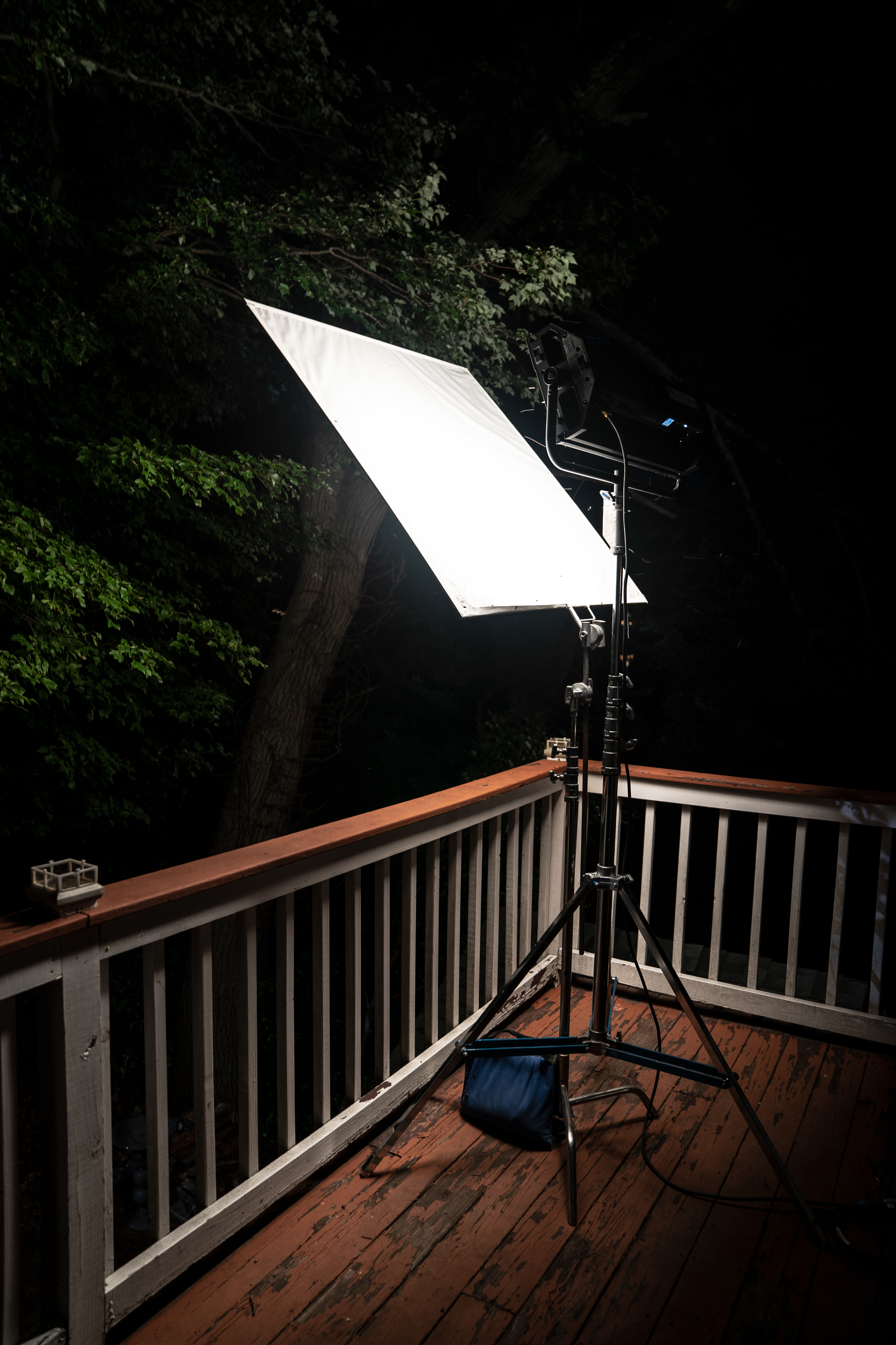 In The Company of Crows