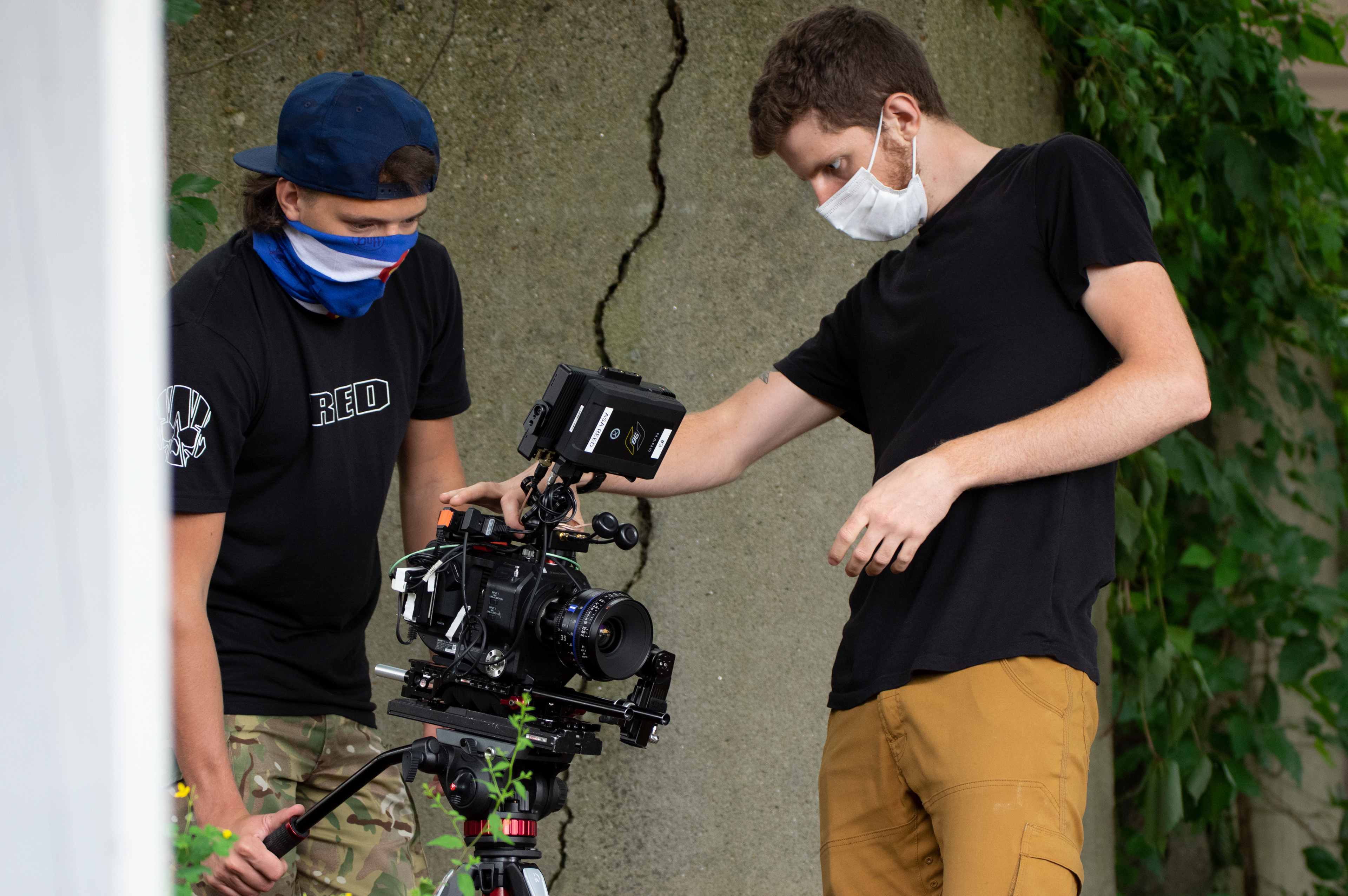 In The Company of Crows