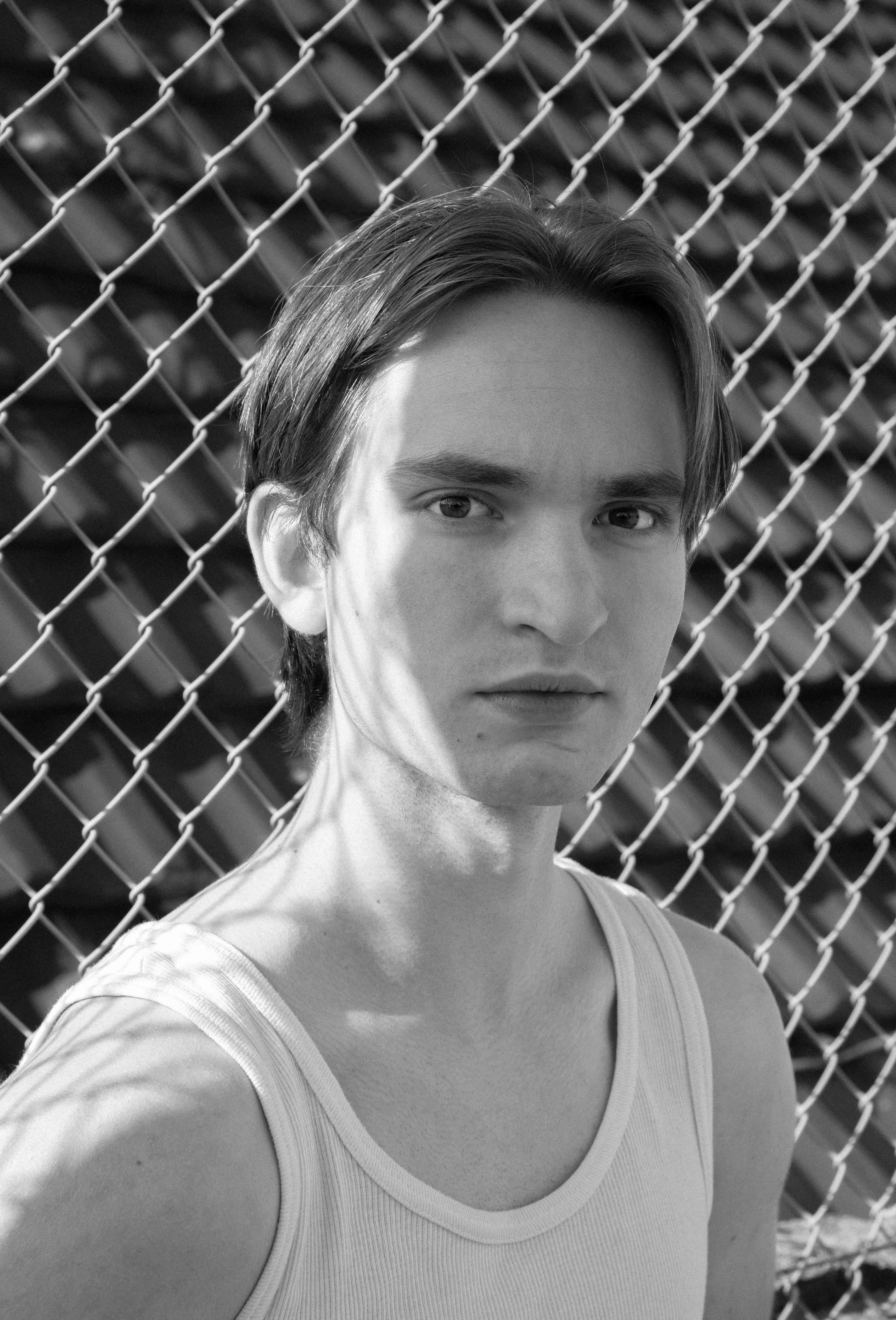 Ivo