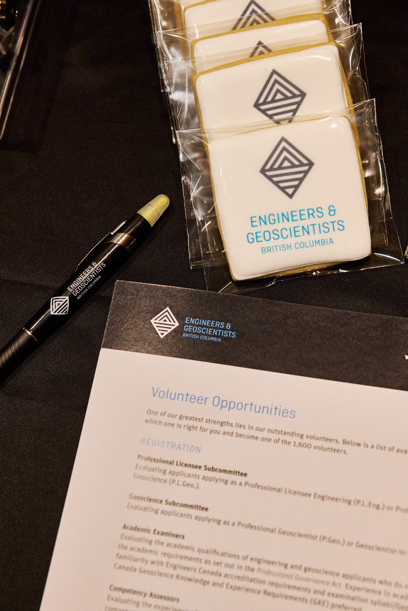 Engineers & Geoscientists British Columbia Volunteer Recruitment Event