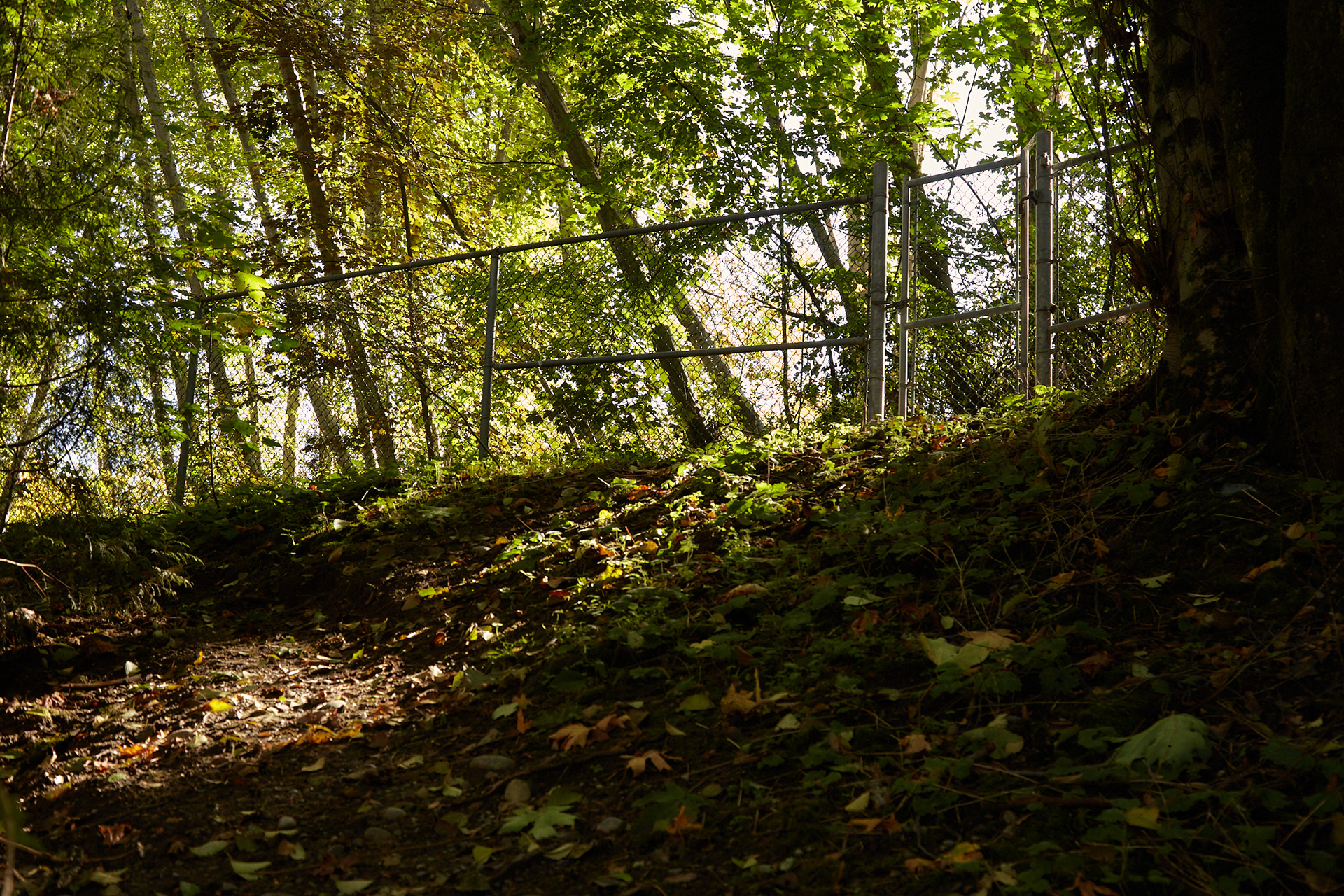 Travel Is A State Of Mind 