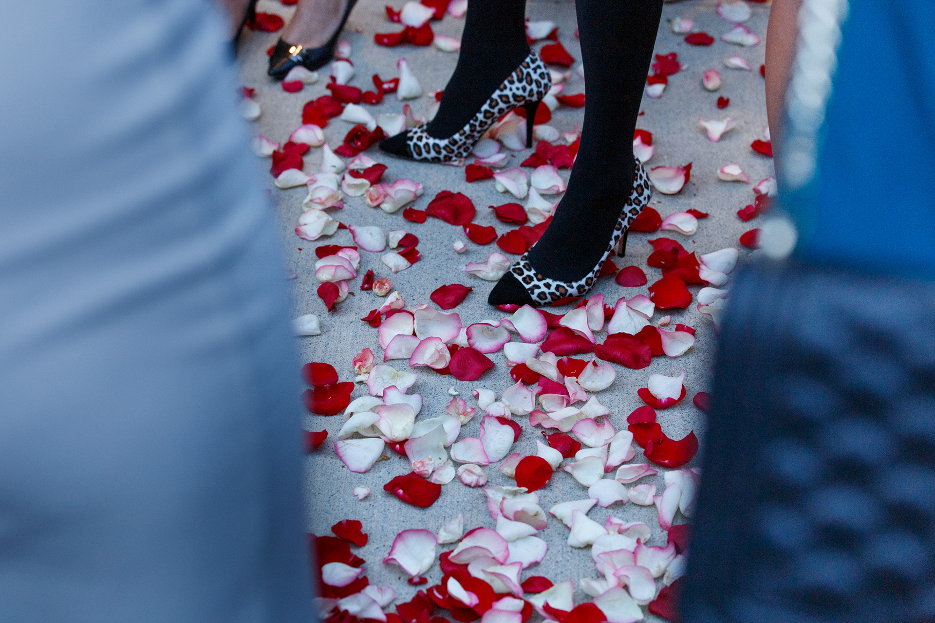 Babylon @ The Queen Elizabeth Theatre