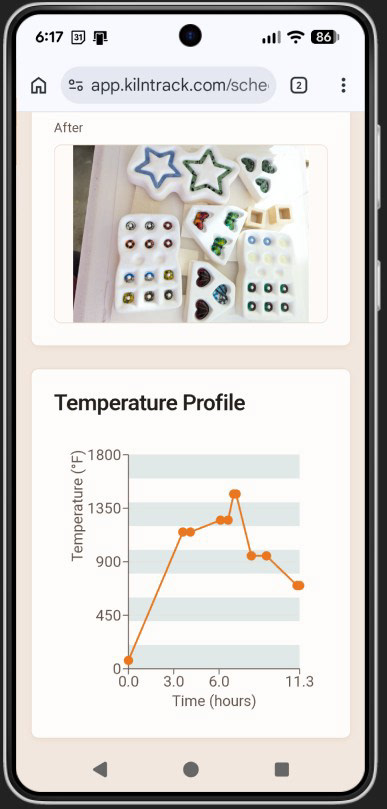 5. Interactive Profile