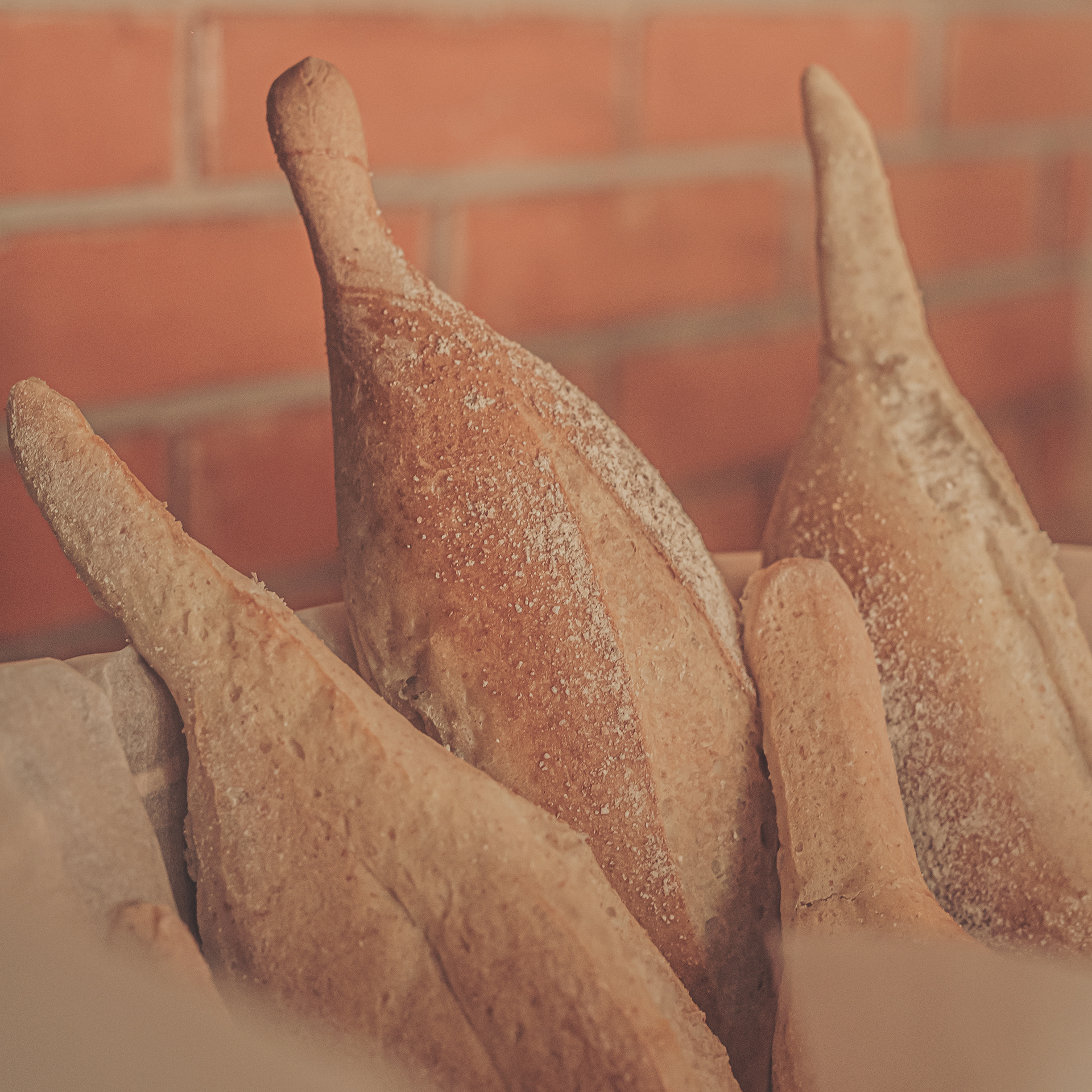 Panadería Emylia