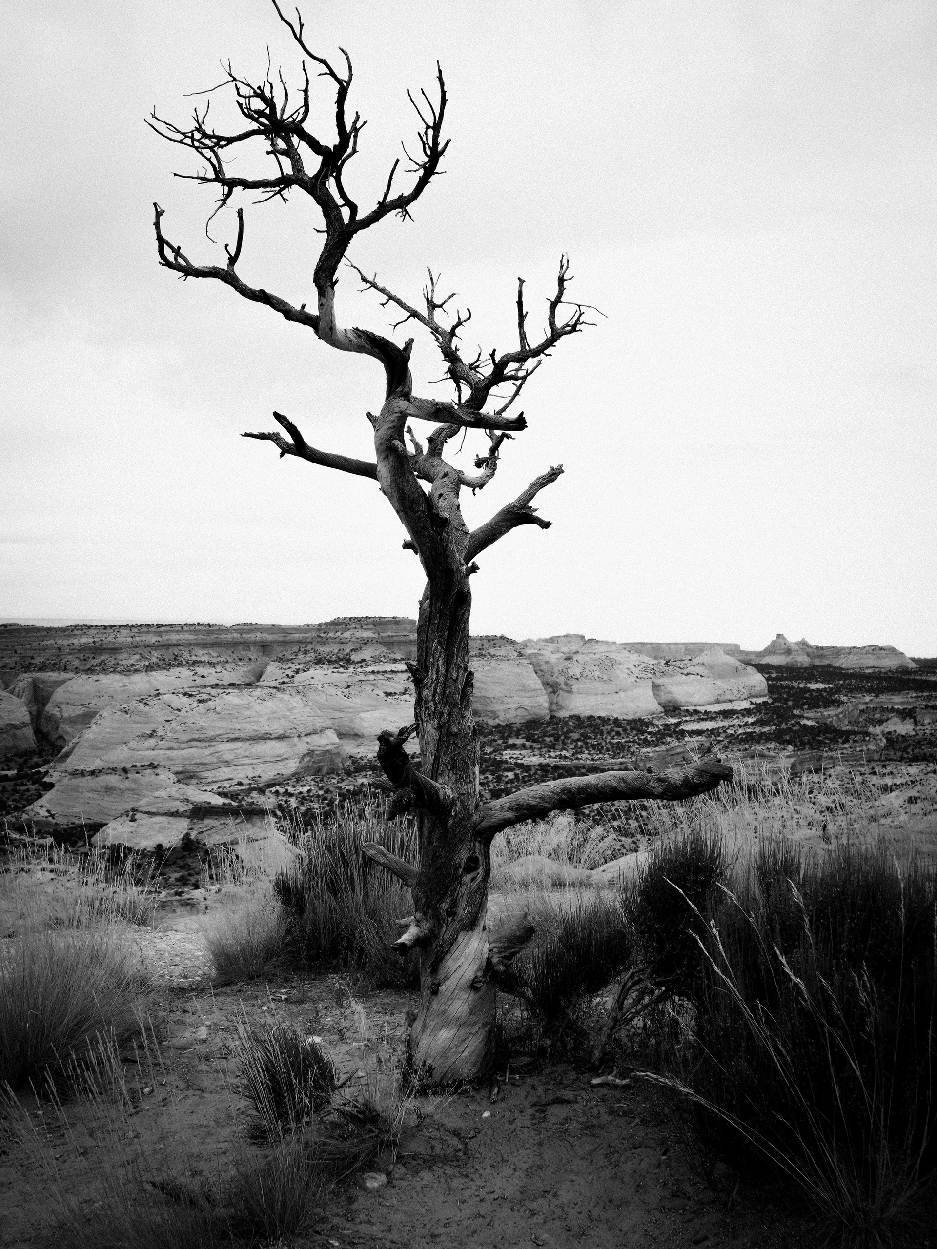 This image that I took in Arizona was published in Vanguard University's Synecdoche Magazine Volume 17 where I won the photography category.