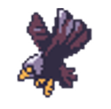 Griffin