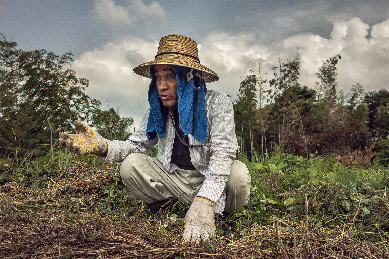 Kyushu Farmer