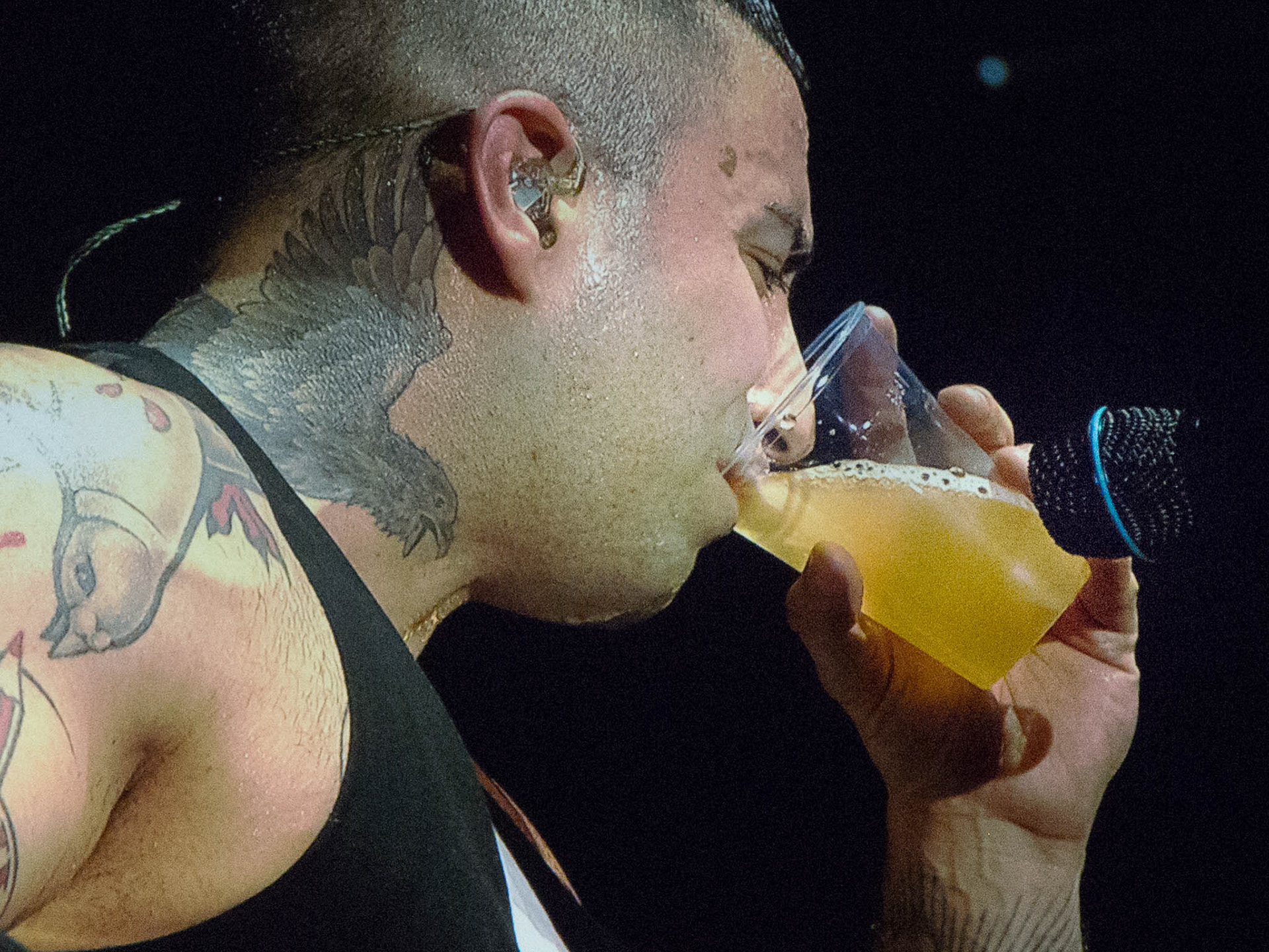 Sammy Amara // Broilers