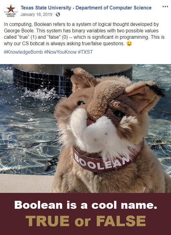 Boolean the CS Bobcat