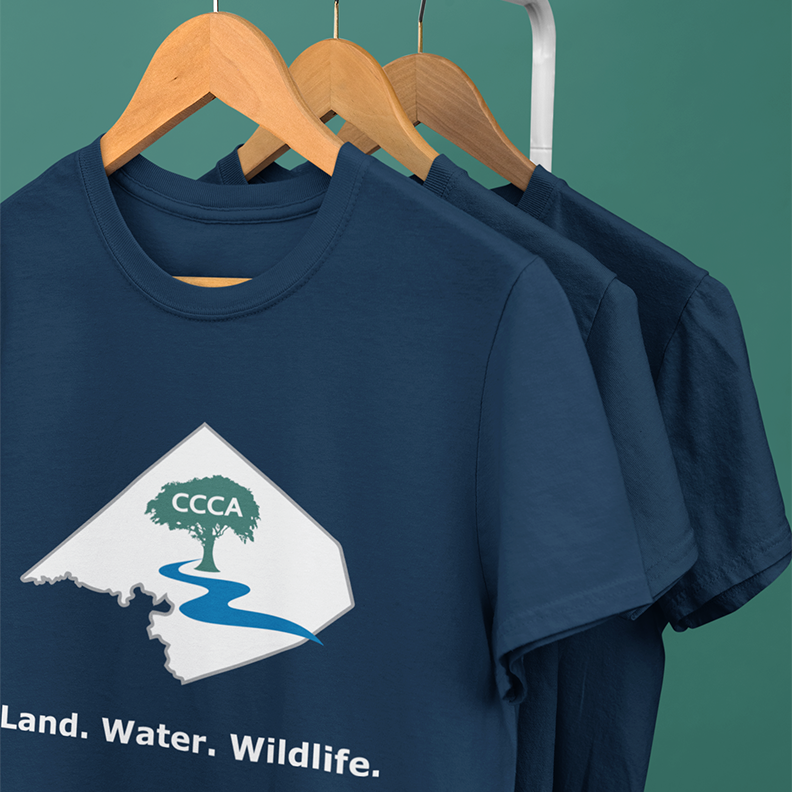 T-Shirt Design and Tagline