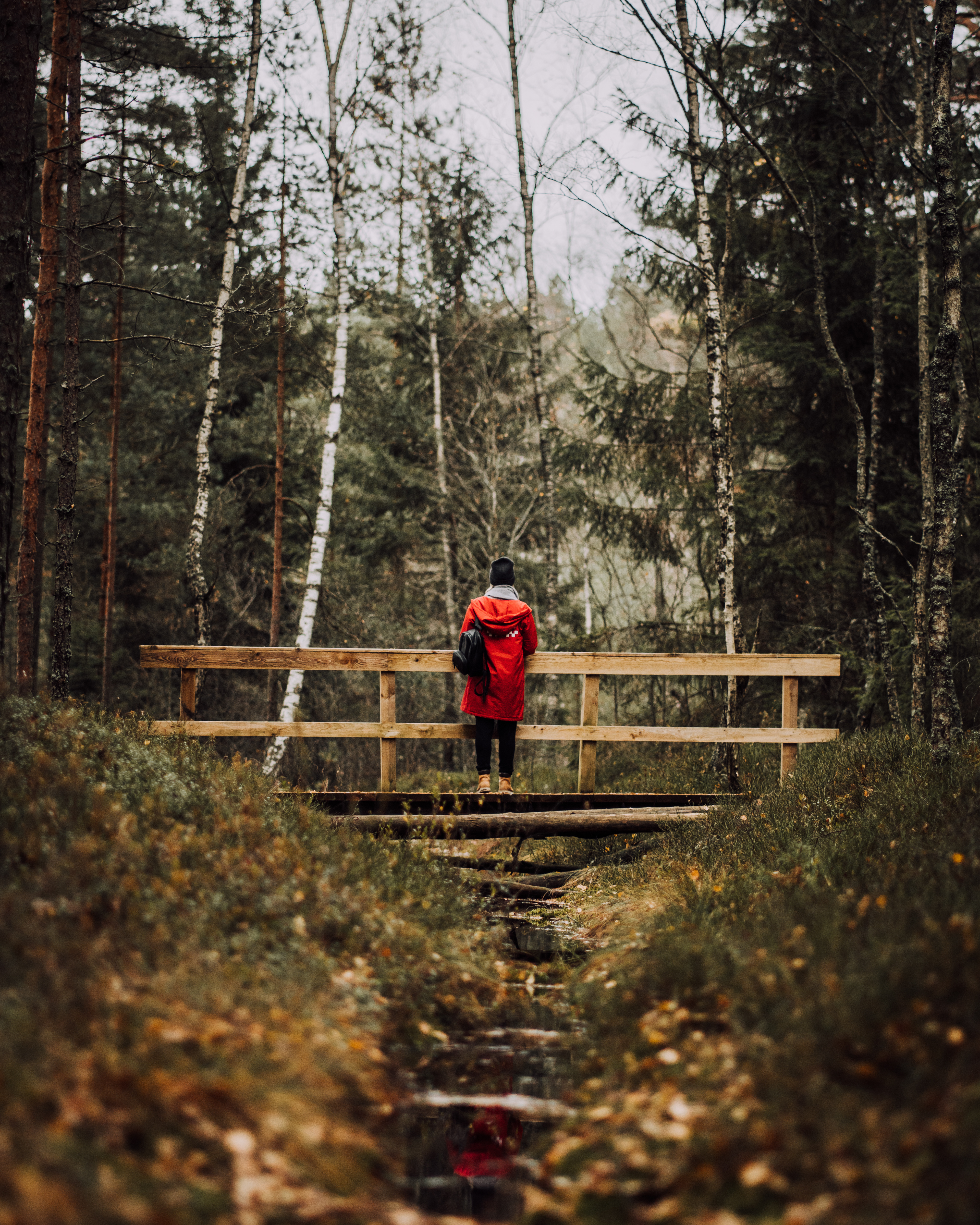 mustjärve matkarada