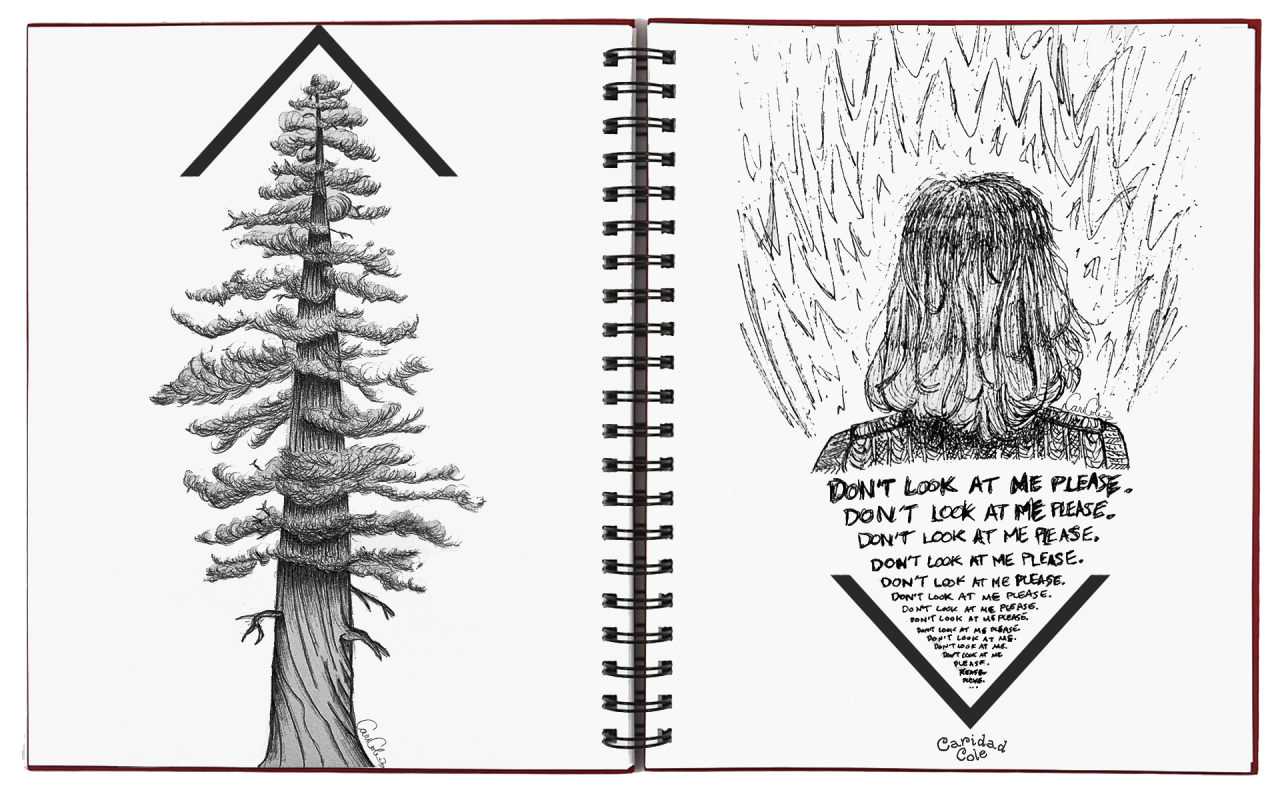 Desert Tree, Don't Look At Me Please, 2017. marker and ink