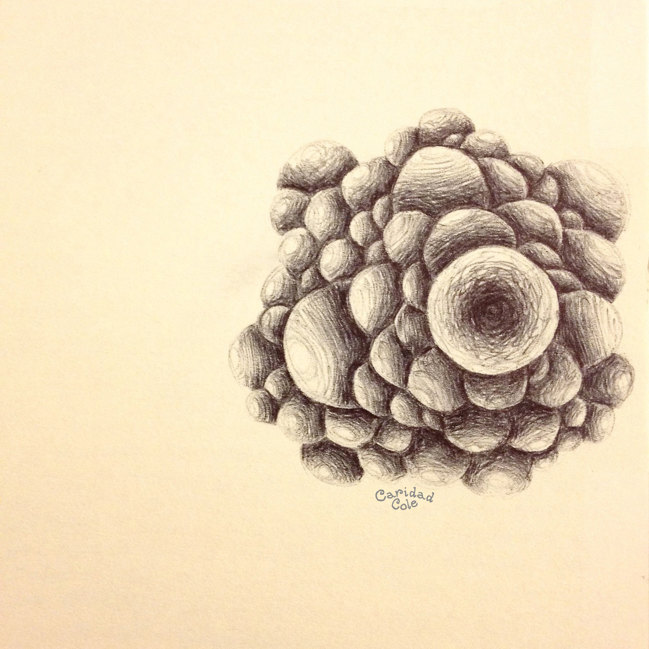 Virus 2, 2012. ink