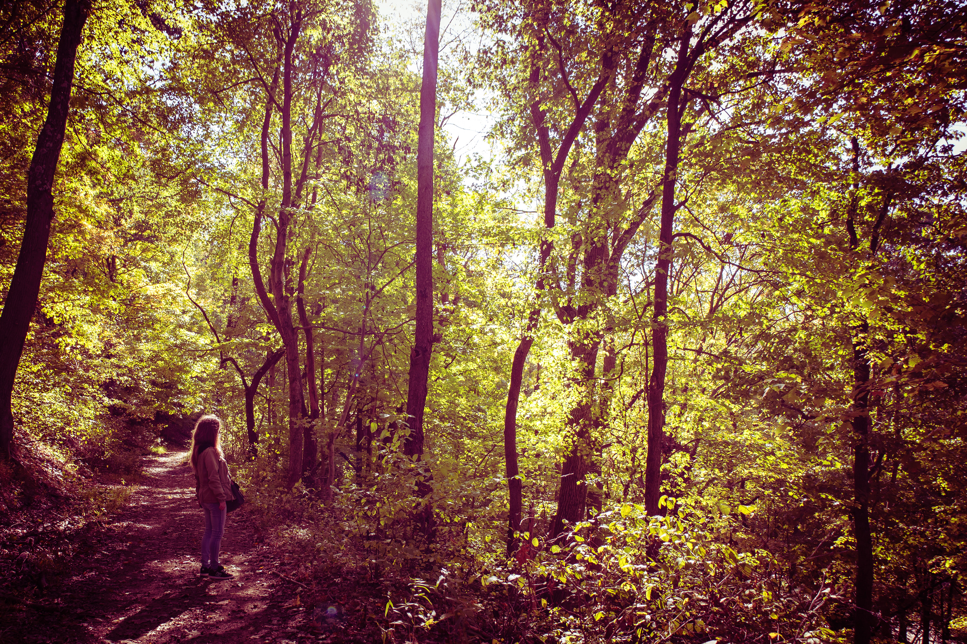 Fall Scenic View