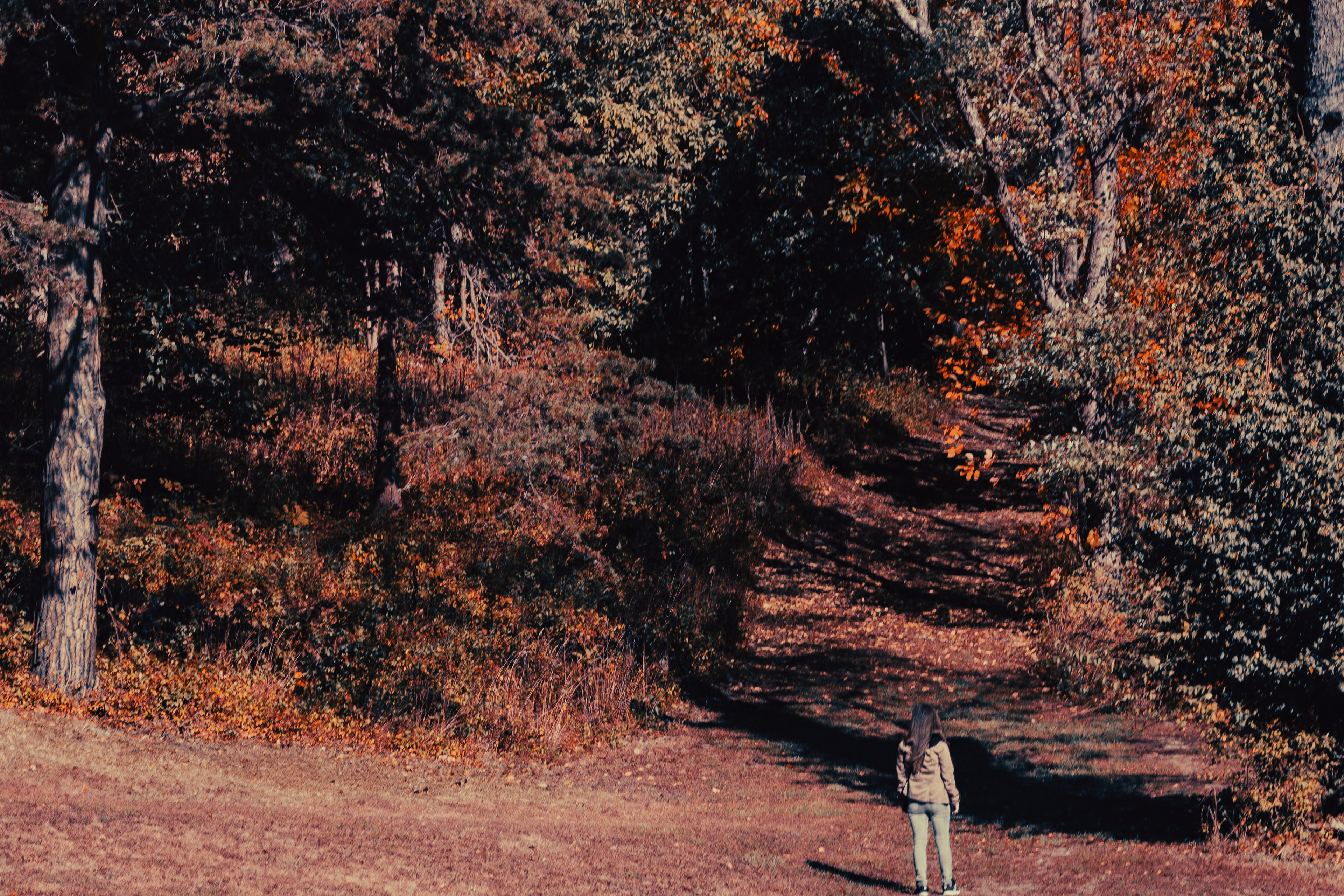 Autumn Walk