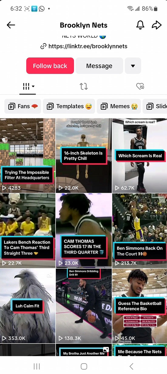 The Brooklyn Nets joined the trend by posting the bird vid in the bottom left of the grid.