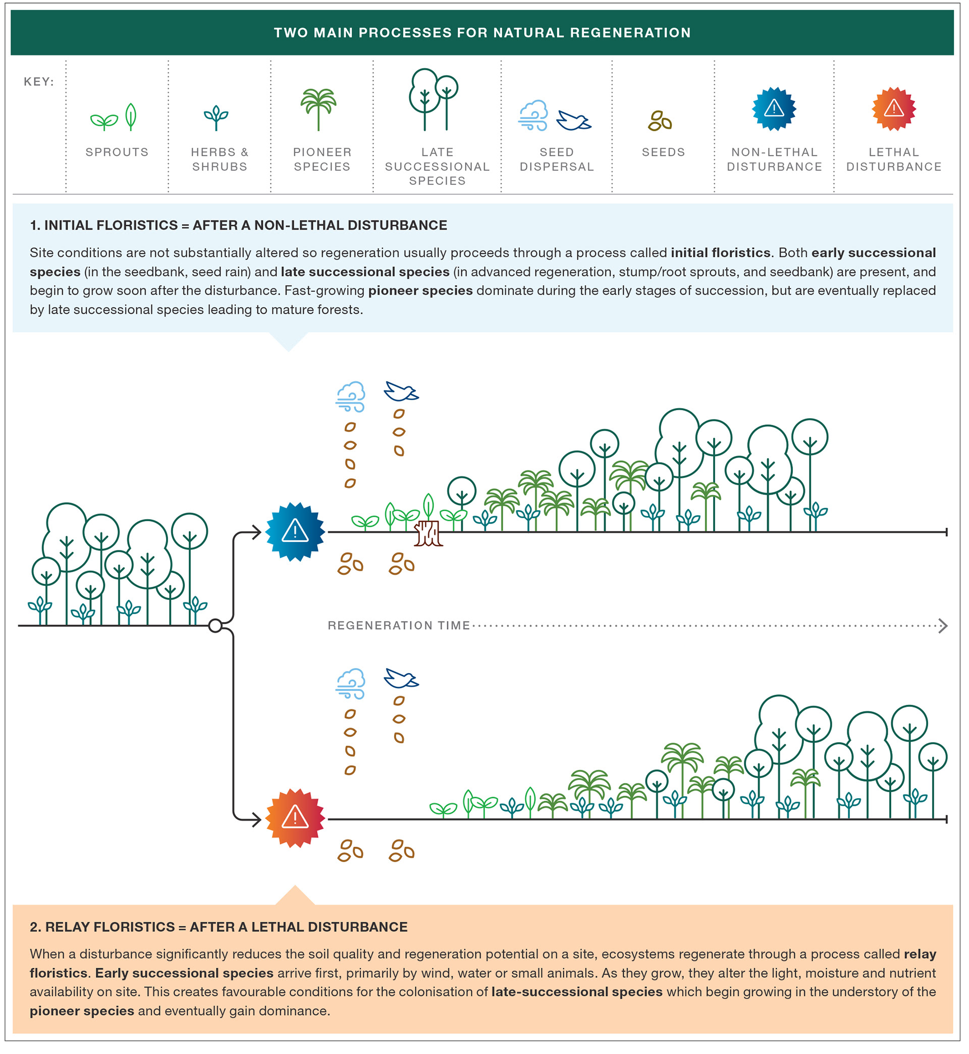 ELTI, Yale University School of the Environment