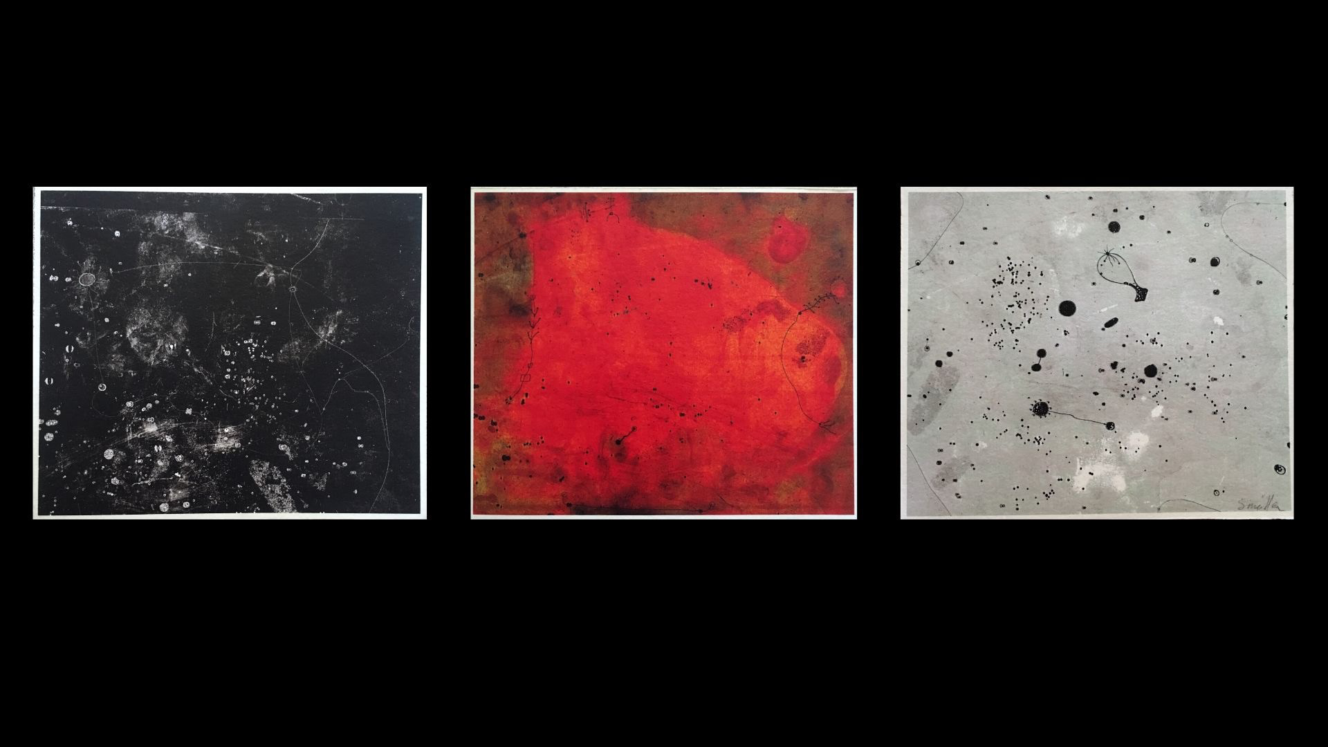 D A R K   D U S K   A N D   D A Y   P R O J E C T I O N