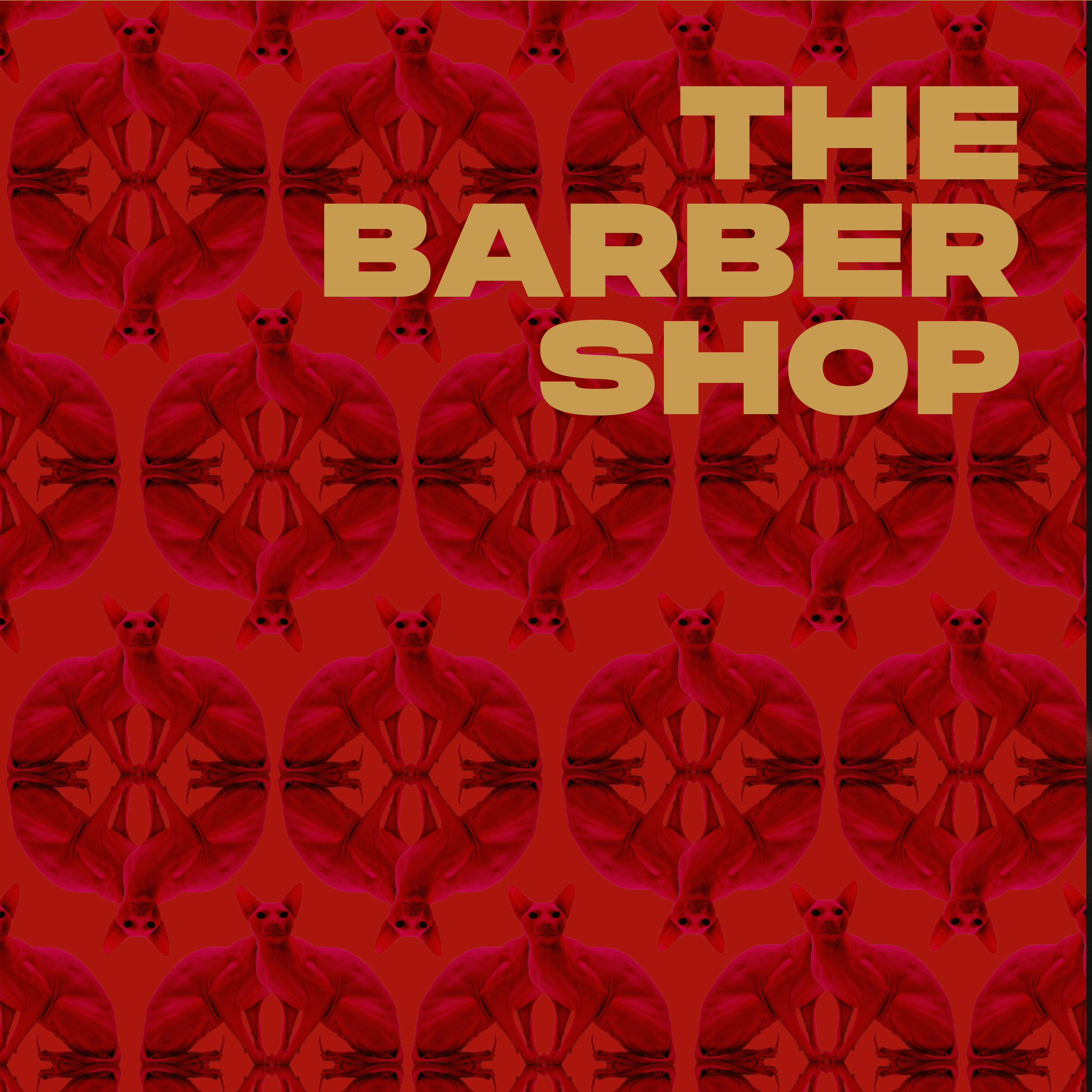 Zedbül - Barber Shop