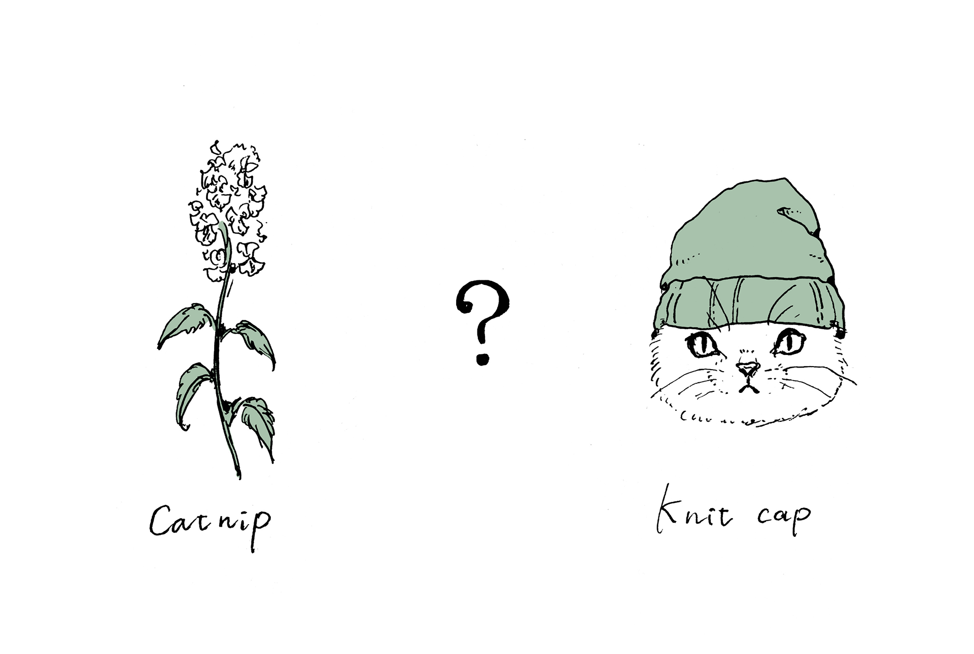 cat nip? knit cap?（2021）