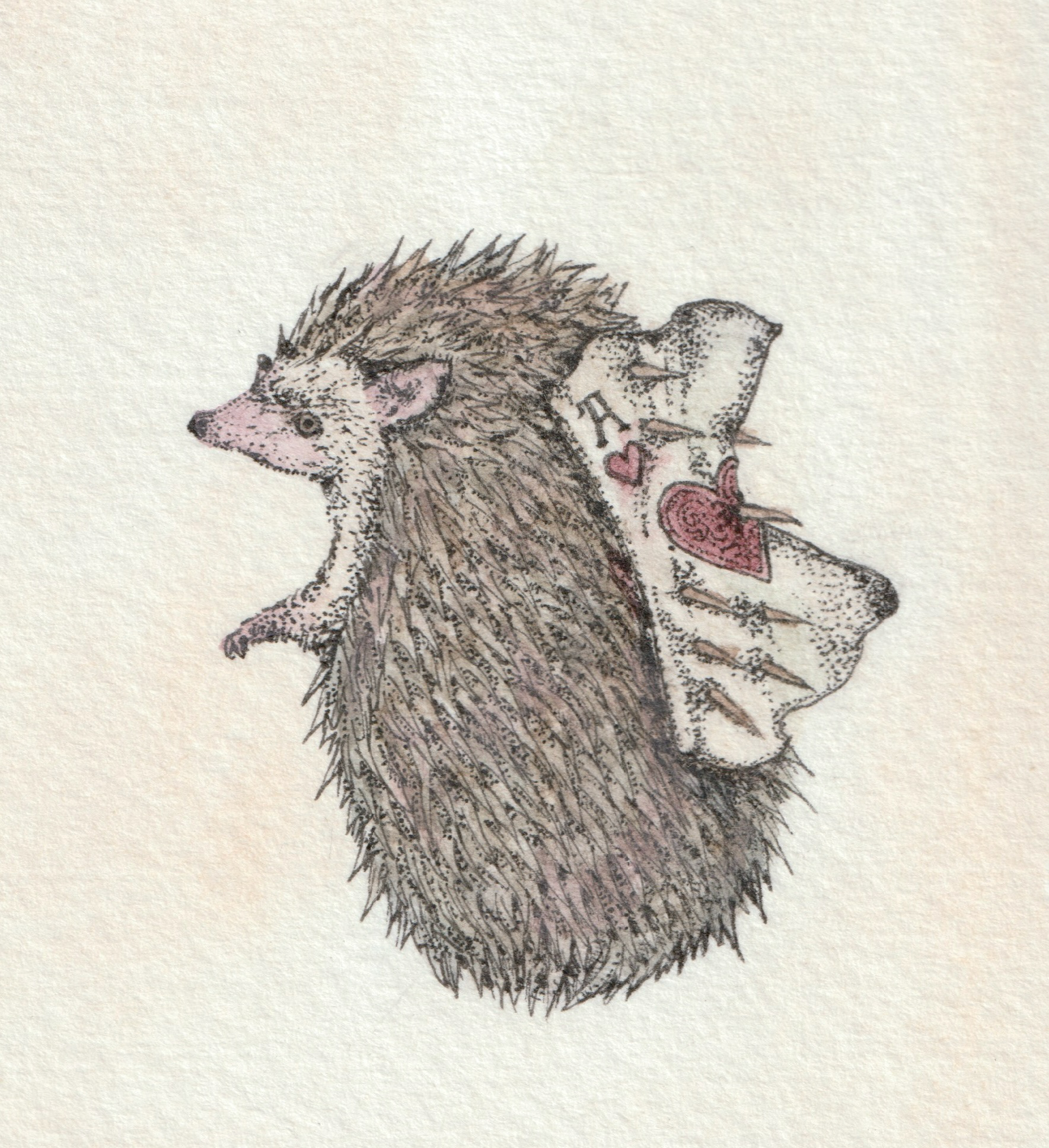 ハリネズミ The hedgehog (2024)ペン、水彩絵具