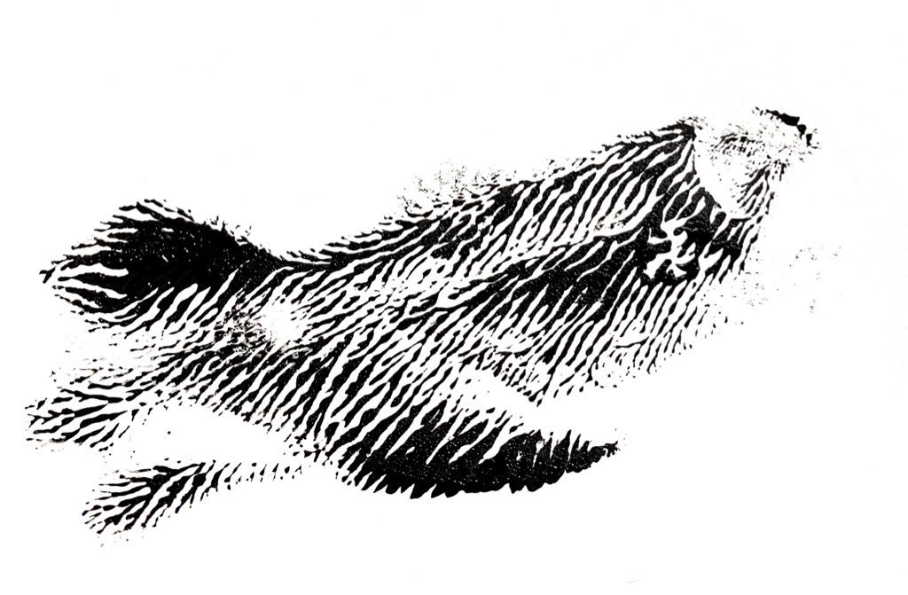 凹凸のアマビコ（2020）