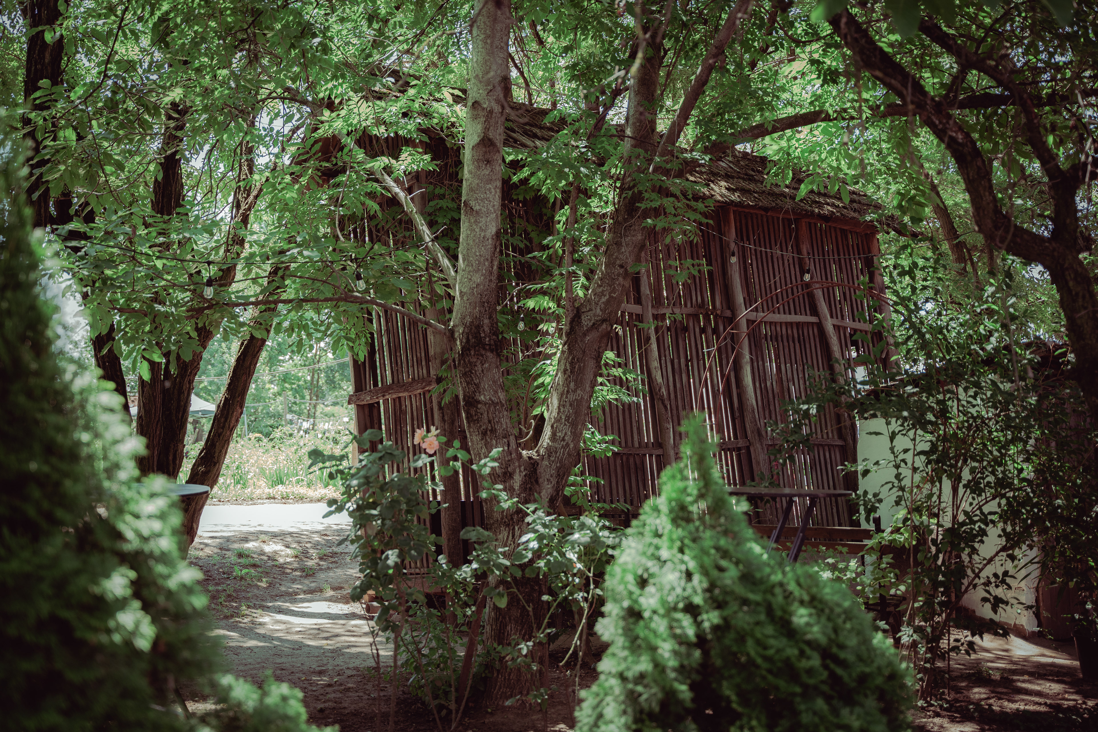 Esküvői helyszin ASA Fényképészet fotózásában