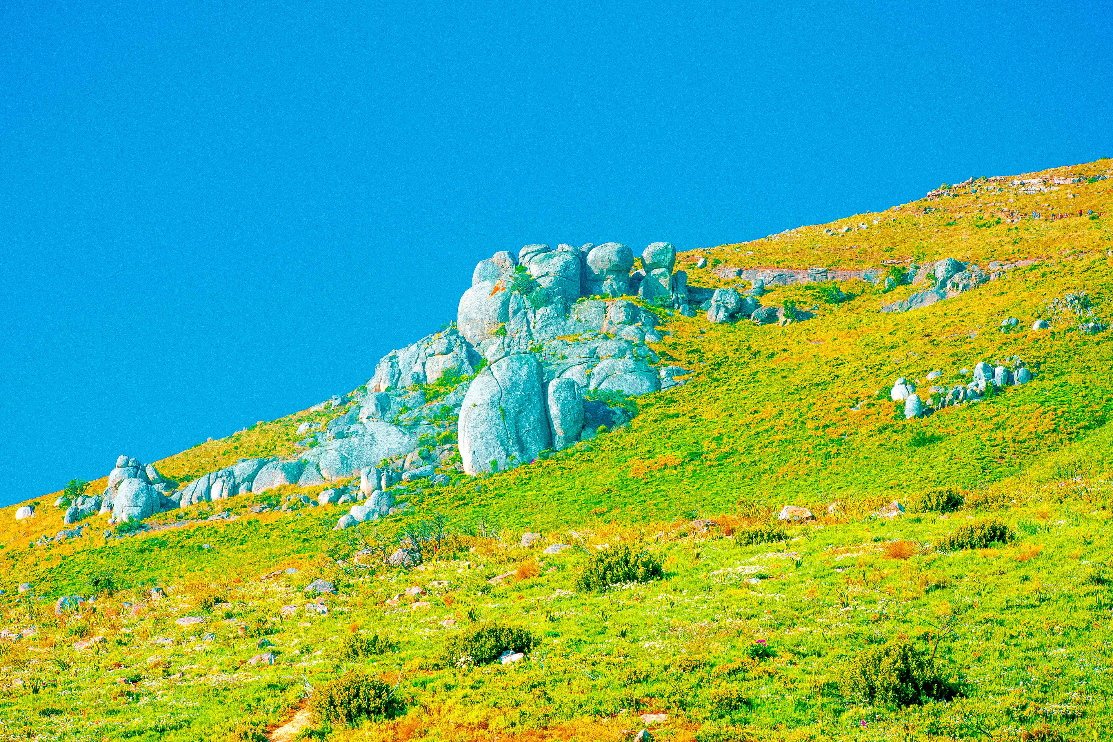thirteen ways of looking at Lion’s Head, no. 53 (2021)