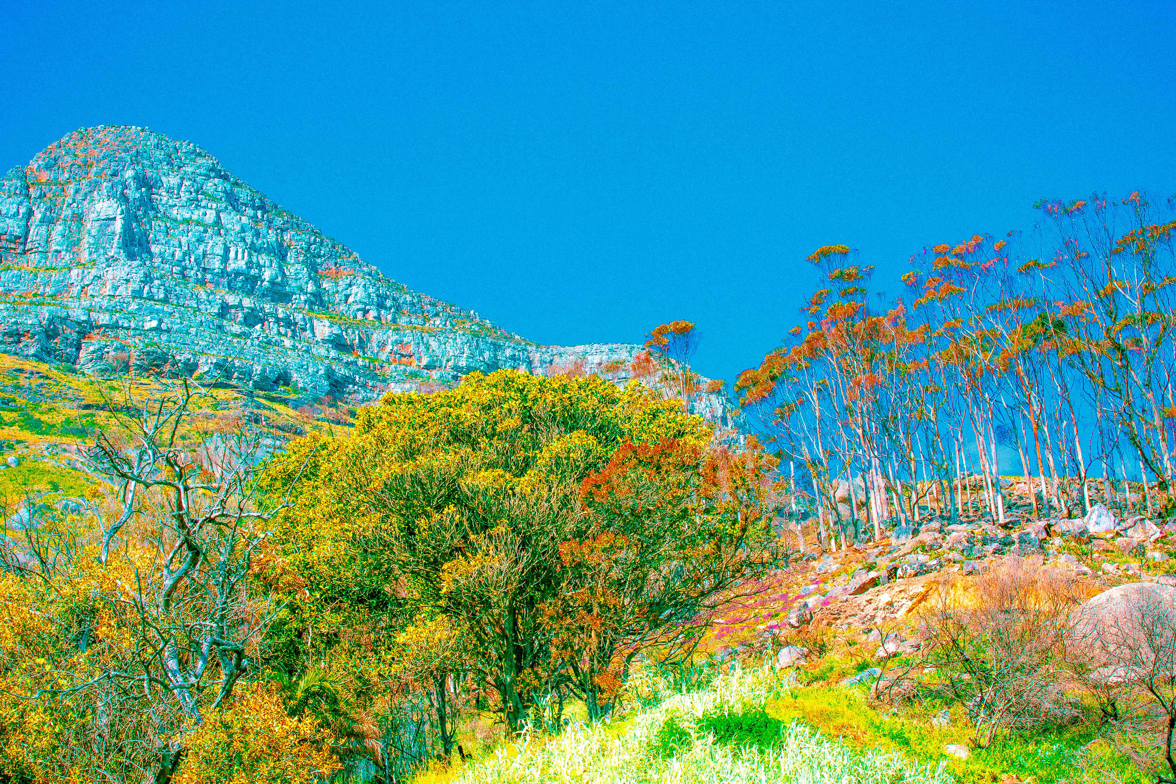 thirteen ways of looking at Lion’s Head, no. 50 (2020)