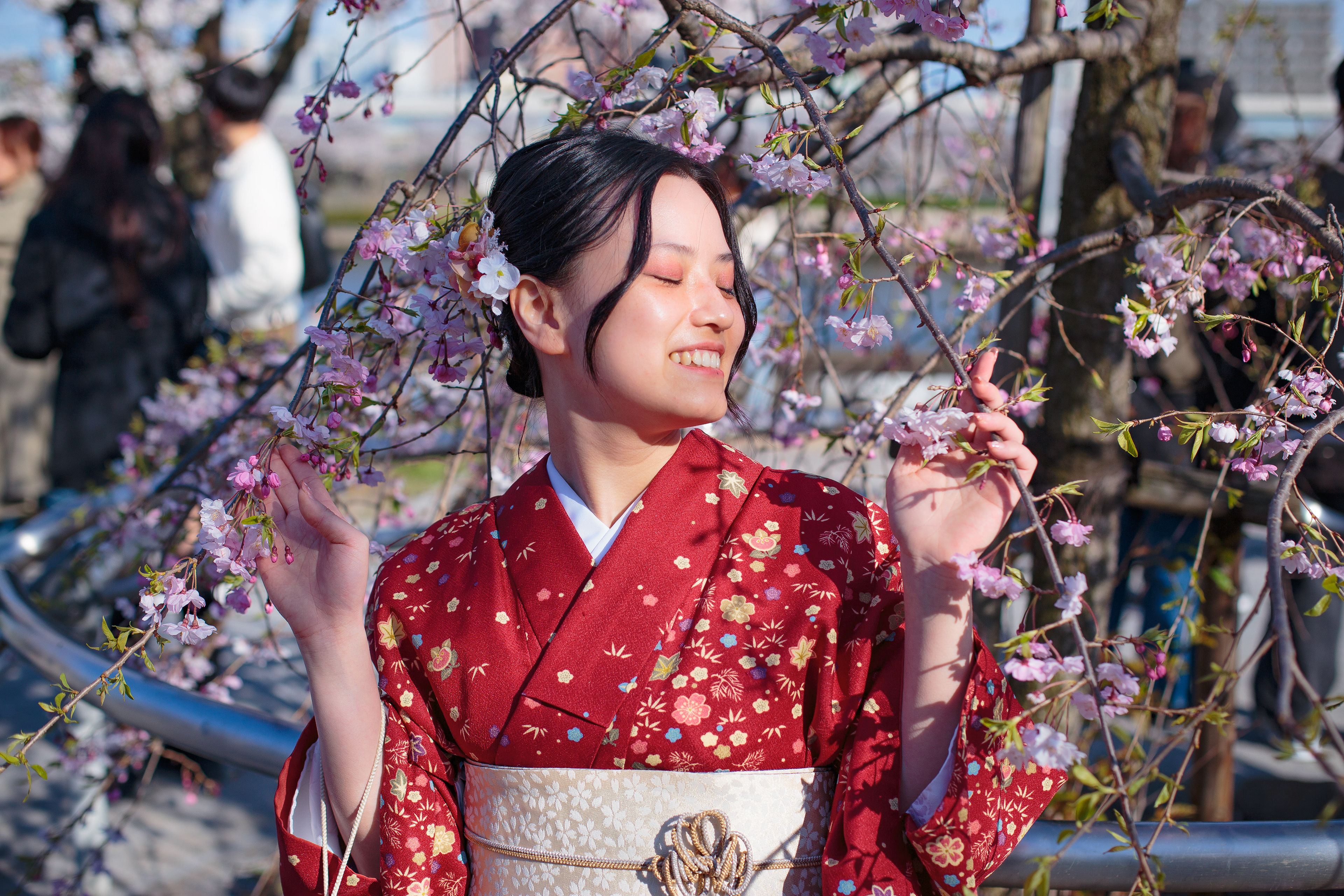 Sumida Hanami Season (2025)