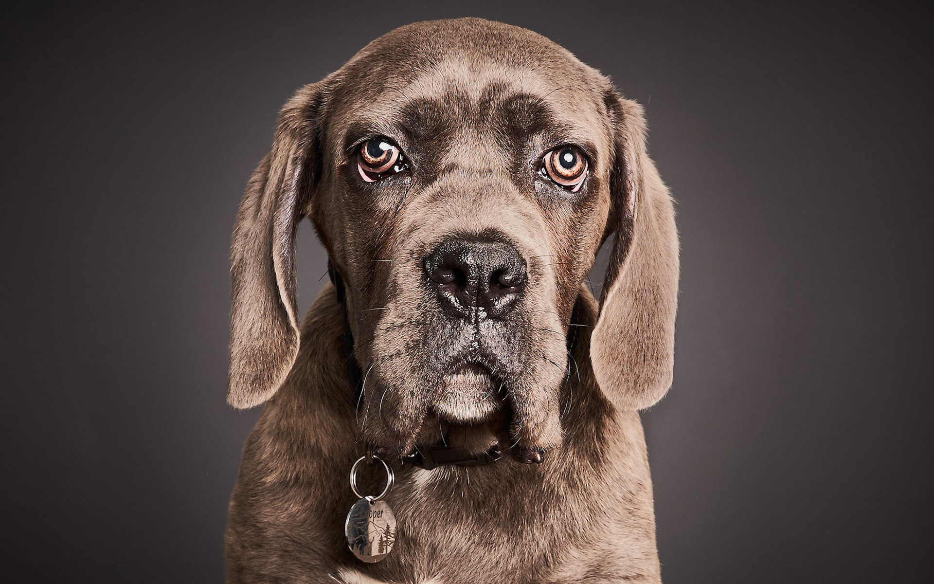 Cooper_11-05-23_9099