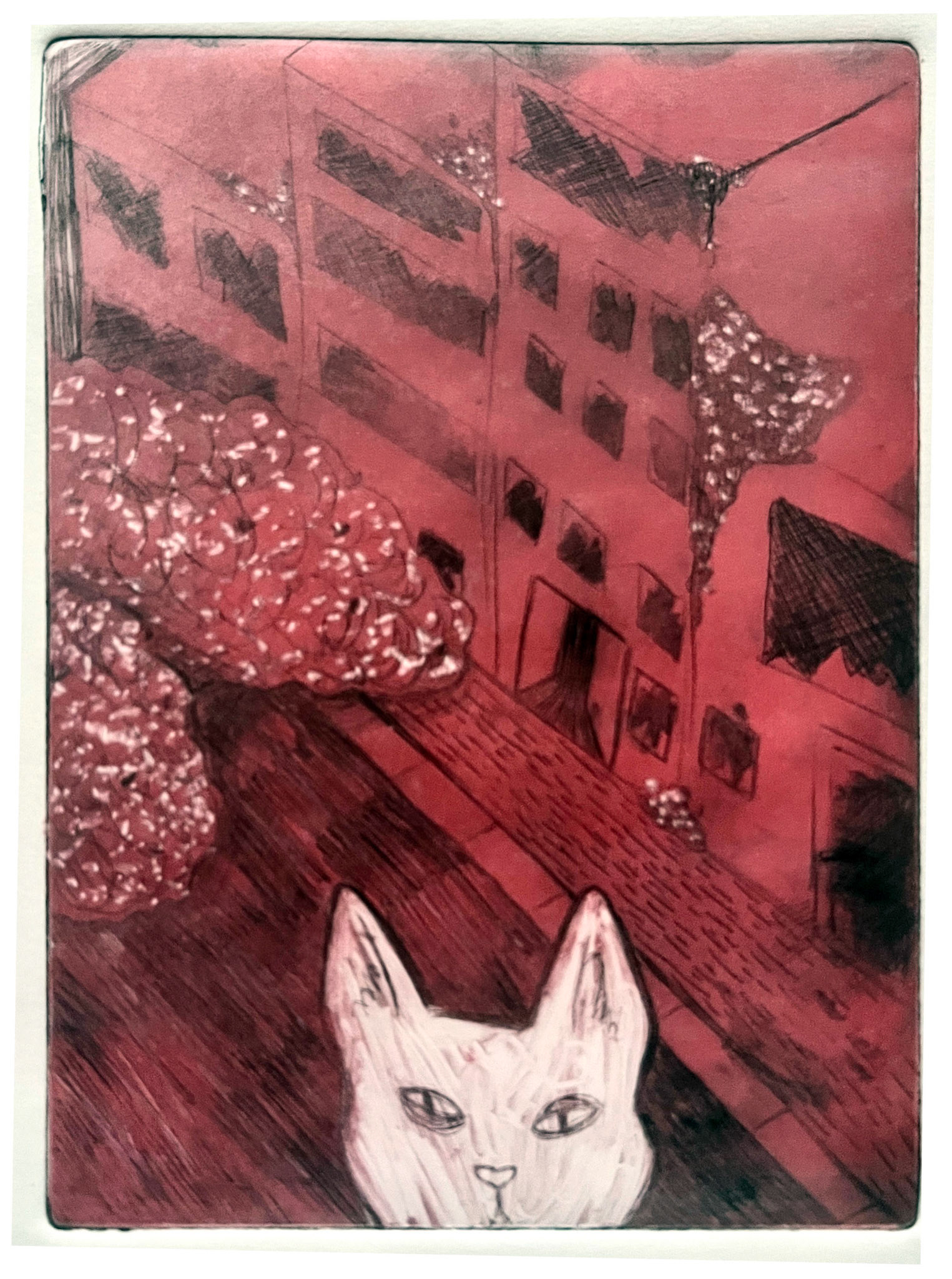 "Overgrown Cat #2" Etched