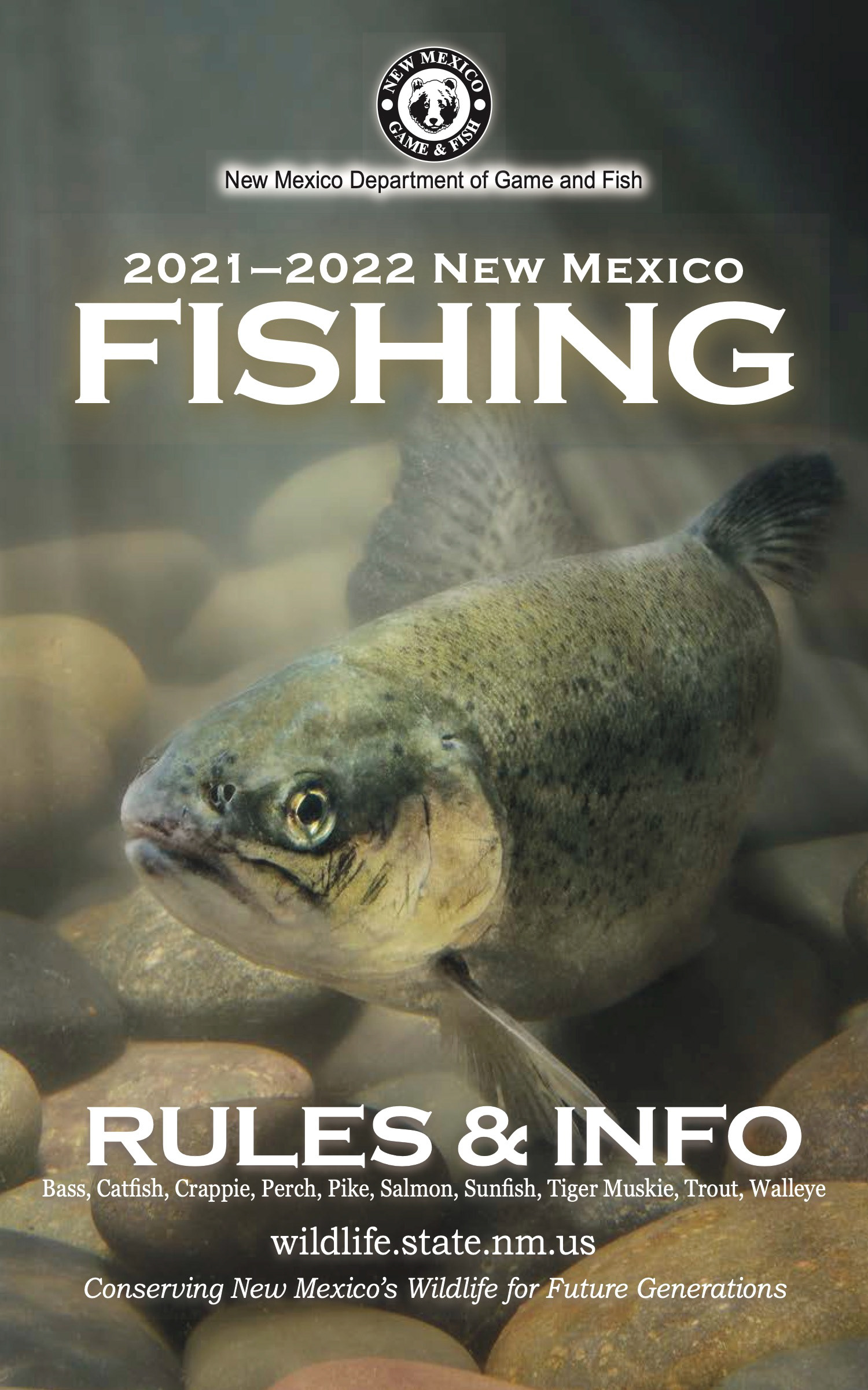 3rd Place Photography Studio/Enhanced - 2022 ACI Awards