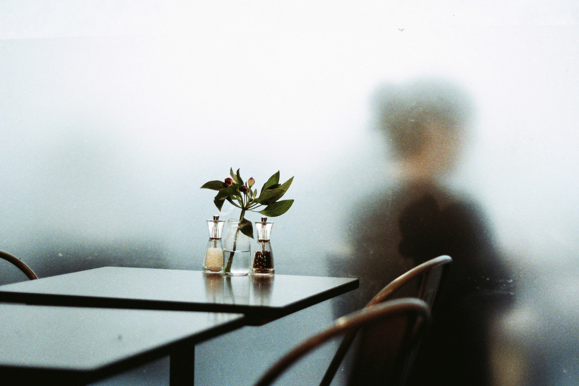 Processed with RNI Films. Preset 'Kodak Gold 200 v.2'