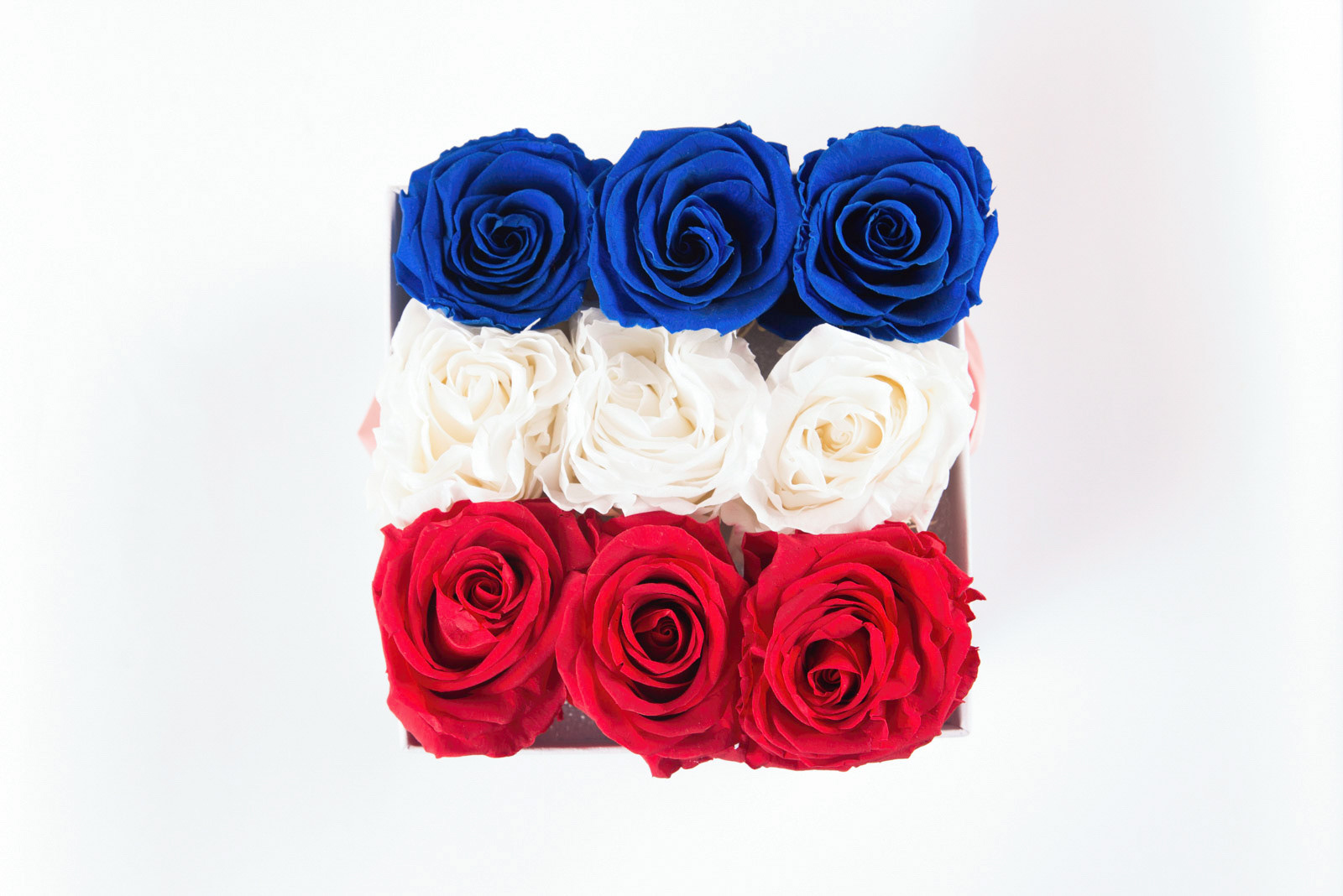 Atelier 19 - Roses Eternelles
