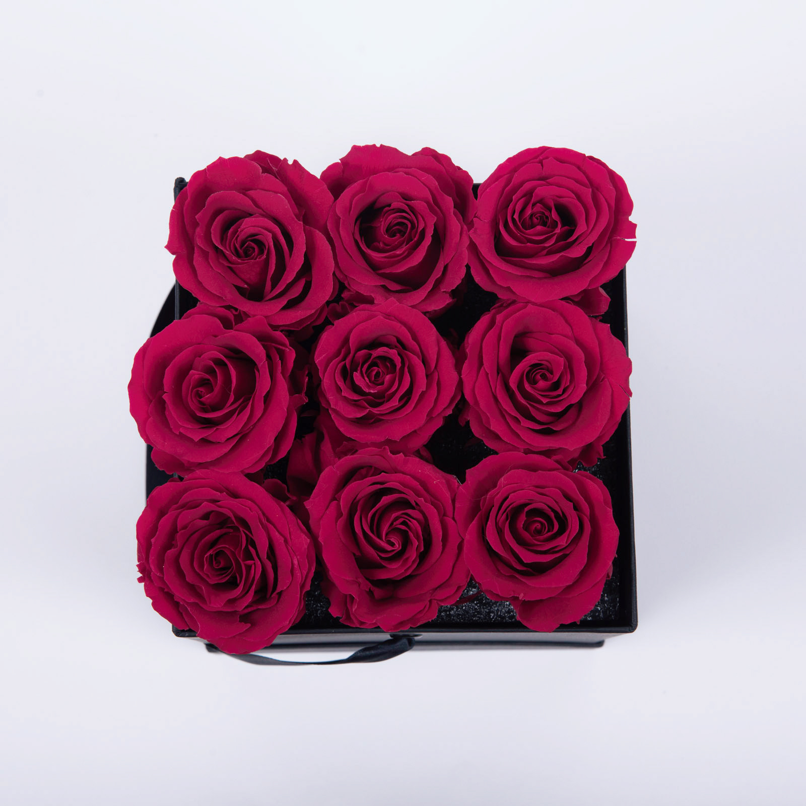 Atelier 19 - Roses Eternelles