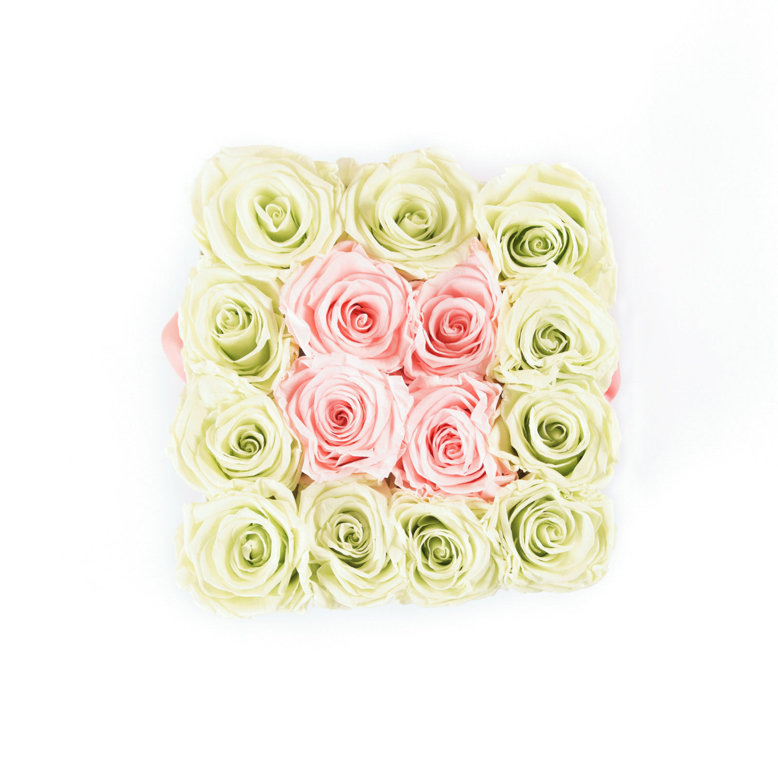 Atelier 19 - Roses Eternelles