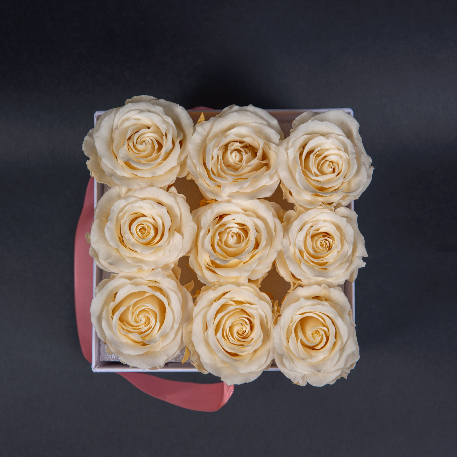 Atelier 19 - Roses Eternelles