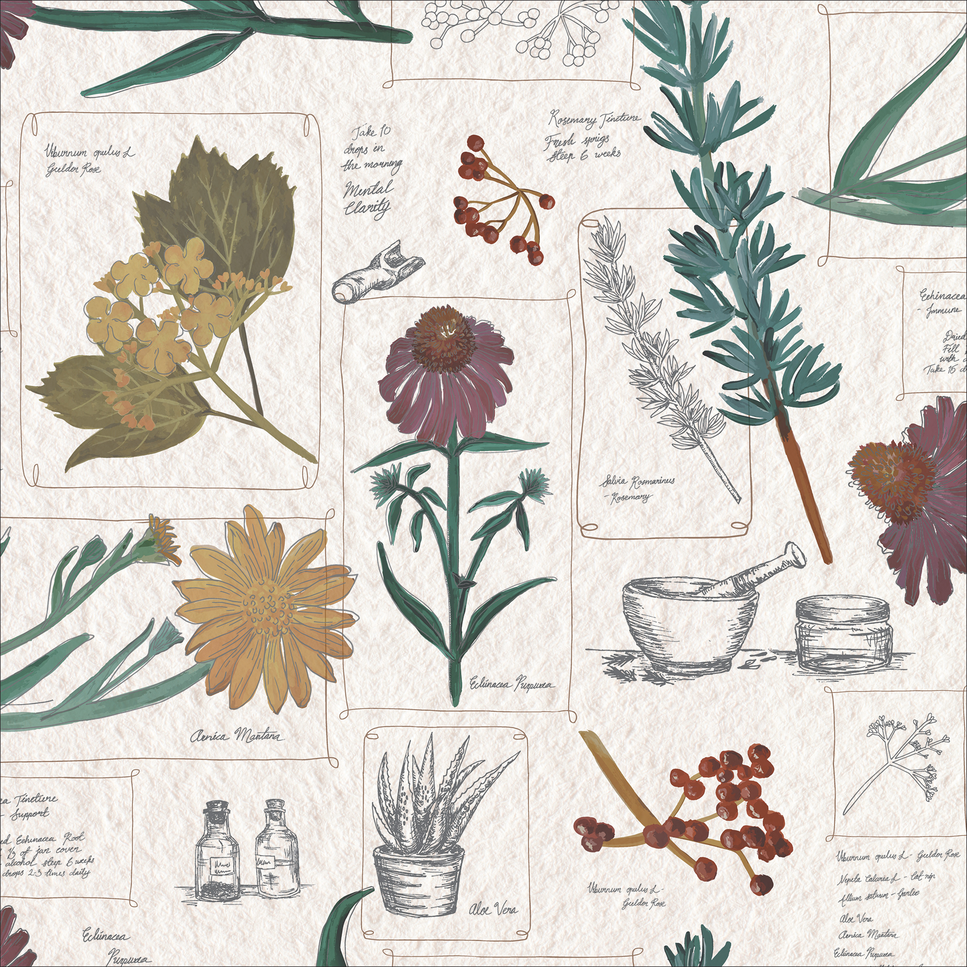 Vintage Herbarium Collage