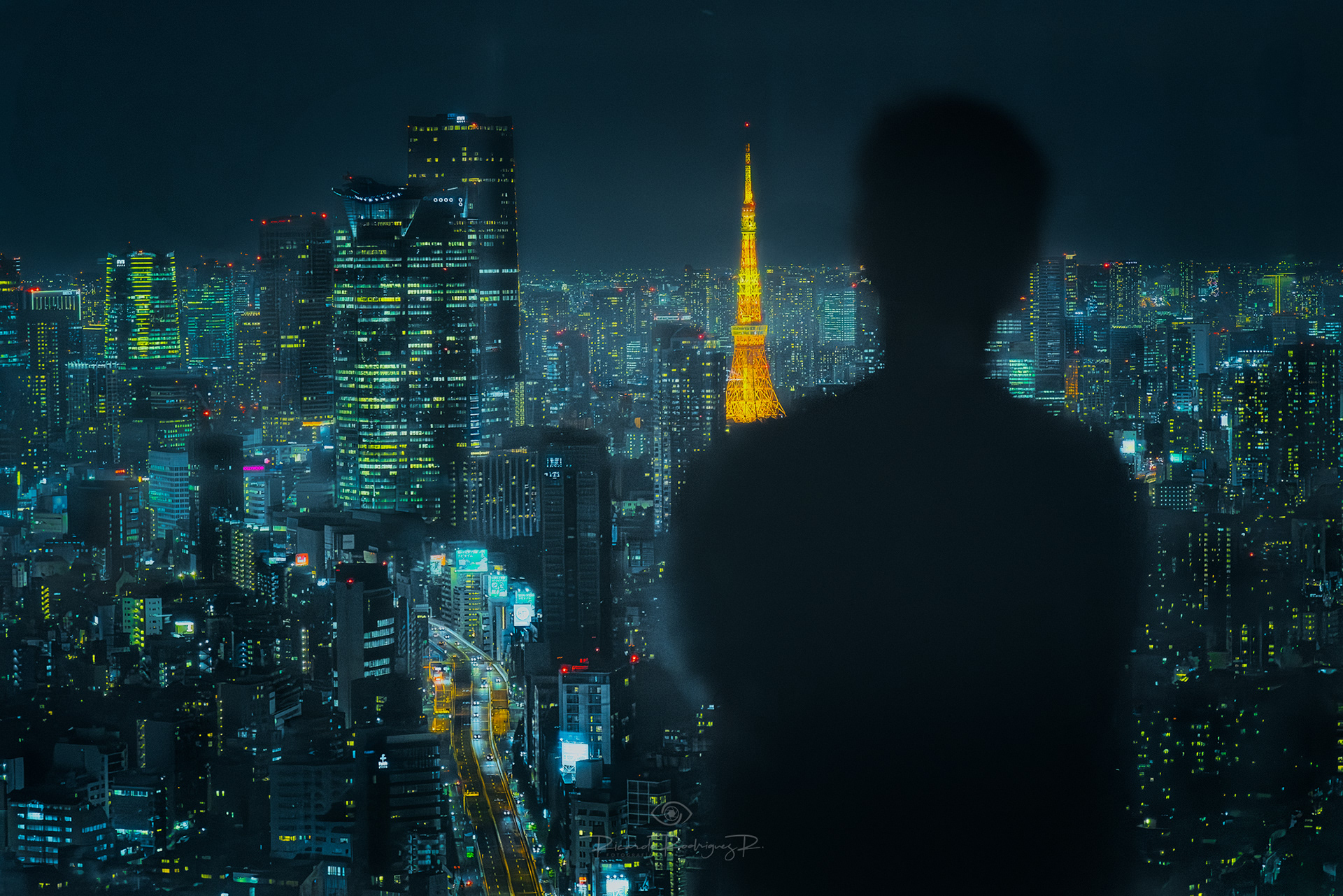 Looking Tokyo